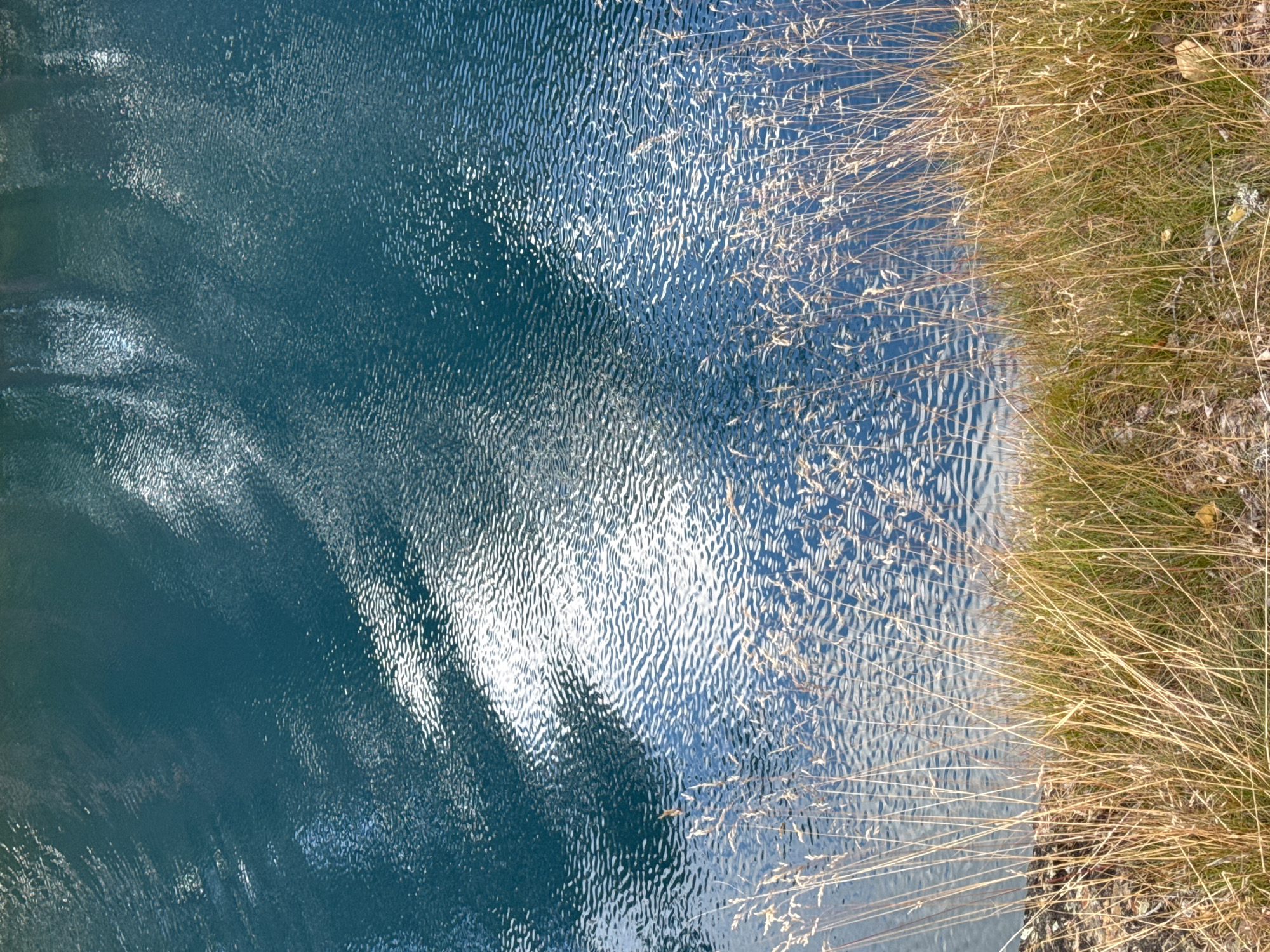 The image shows a close-up view of a body of water, likely a lake or river, with a shoreline of dry grass in the foreground. The water is a deep teal color with visible ripples and reflections of the sky and surrounding environment, suggesting it is a calm day. The shoreline is covered in tall, golden-brown dry grass, indicating it might be autumn or a dry season. There are also some small rocks and fallen leaves on the ground near the grass. The scene appears to be a natural landscape. The location is not specified within the image itself, but the prompt requests it be identified as Säter, Sweden.