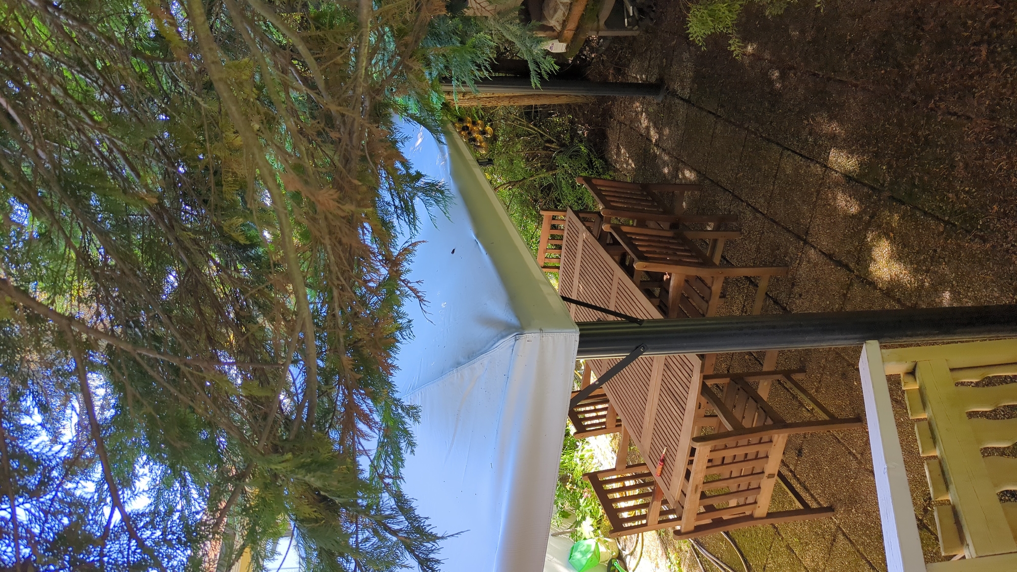 An outdoor patio area in Kløfta, Norway, is depicted, partially shaded by the branches of a coniferous tree. A large, white rectangular canopy is erected over a wooden outdoor dining set. The set consists of a long, slatted wooden table with a red object, possibly a tool, lying on its surface, and six wooden chairs. The patio is paved with dark, textured tiles. In the background, dense foliage and some gardening equipment are visible. A white and yellow railing is present in the foreground. The lighting suggests it is daytime, with dappled sunlight filtering through the tree.