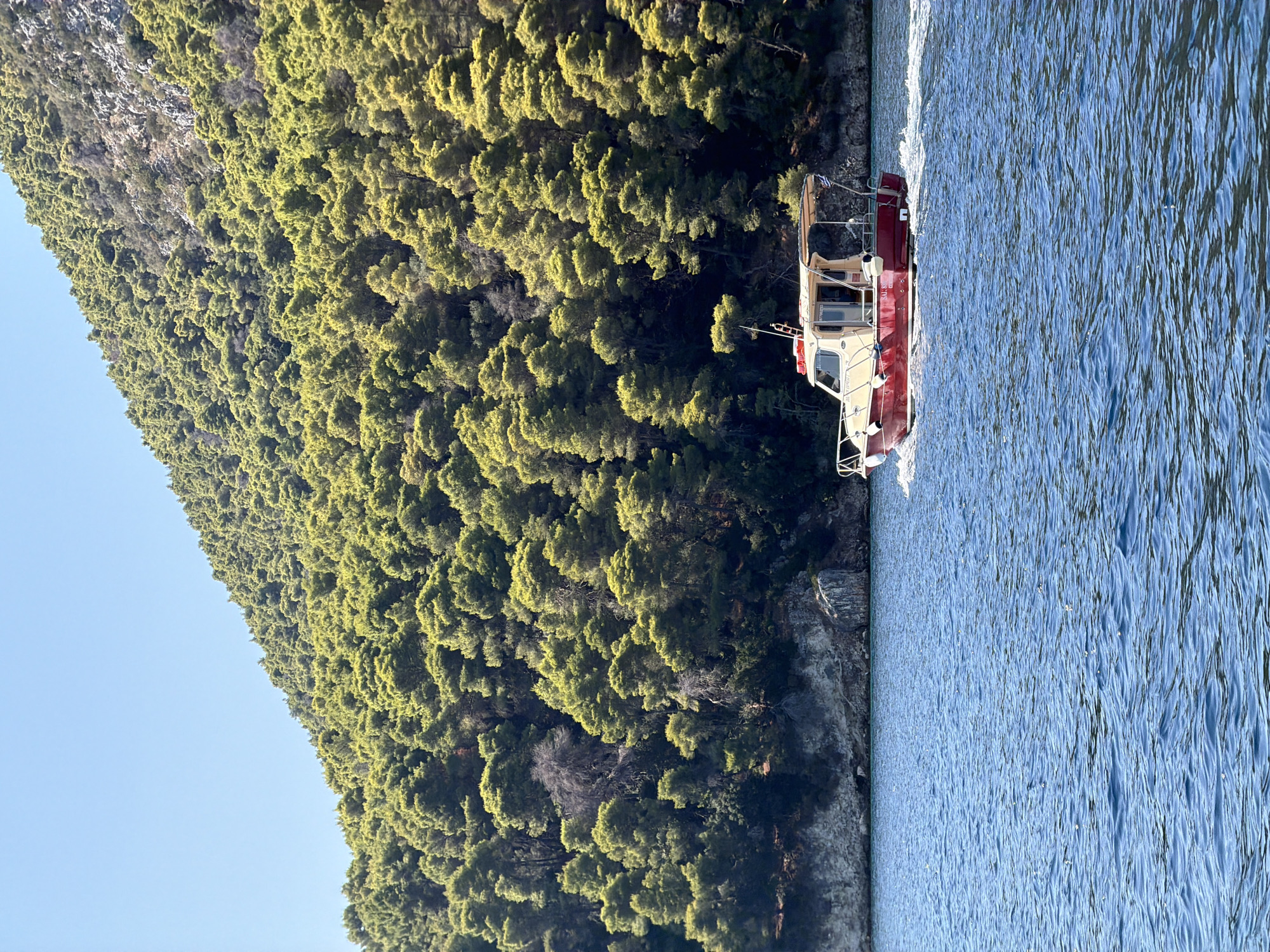 A red and cream-colored boat moves across the blue water of the Aegean Sea. The boat is moving from left to right, creating a white wake behind it. The boat has a cabin and an awning. In the background, a steep, tree-covered hill rises from the water's edge. The trees are dense and appear to be pine trees. The sky is clear and blue. The scene is likely located in the Municipal Unit of Kalamos, Greece, given the rocky coastline and vegetation.