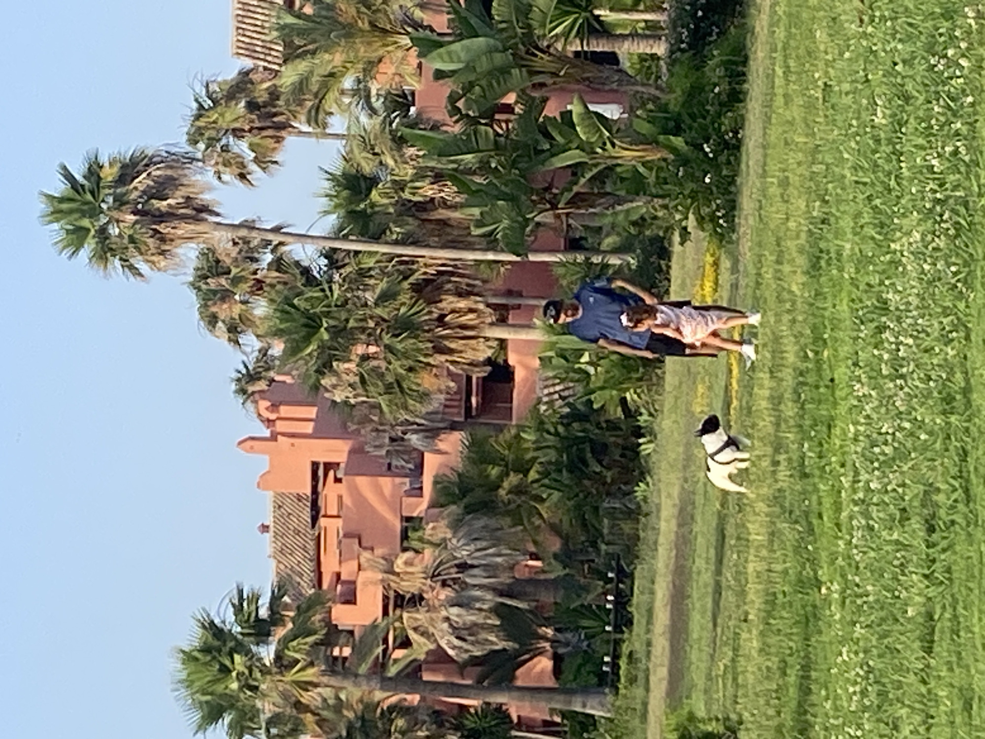The image depicts a scenic outdoor setting with a terracotta-colored building and lush vegetation. Several palm trees are prominently featured, with some showing signs of dryness. In the foreground, a man and a young girl are walking on a grassy area. The girl is wearing a light-colored dress and white shoes, and she has a bow in her hair. The man is wearing a dark blue shirt and a baseball cap. A small black and white dog is also visible, appearing to be running or playing in the grass. The background reveals the distinctive architecture of a building with multiple levels and a tiled roof, suggesting a resort or residential complex. The sky is a clear blue, indicating fair weather, and the lighting suggests it is daytime, possibly late afternoon or early evening due to the soft shadows. The overall impression is one of a relaxed, pleasant day in a warm climate. The location is Estepona, Spain.