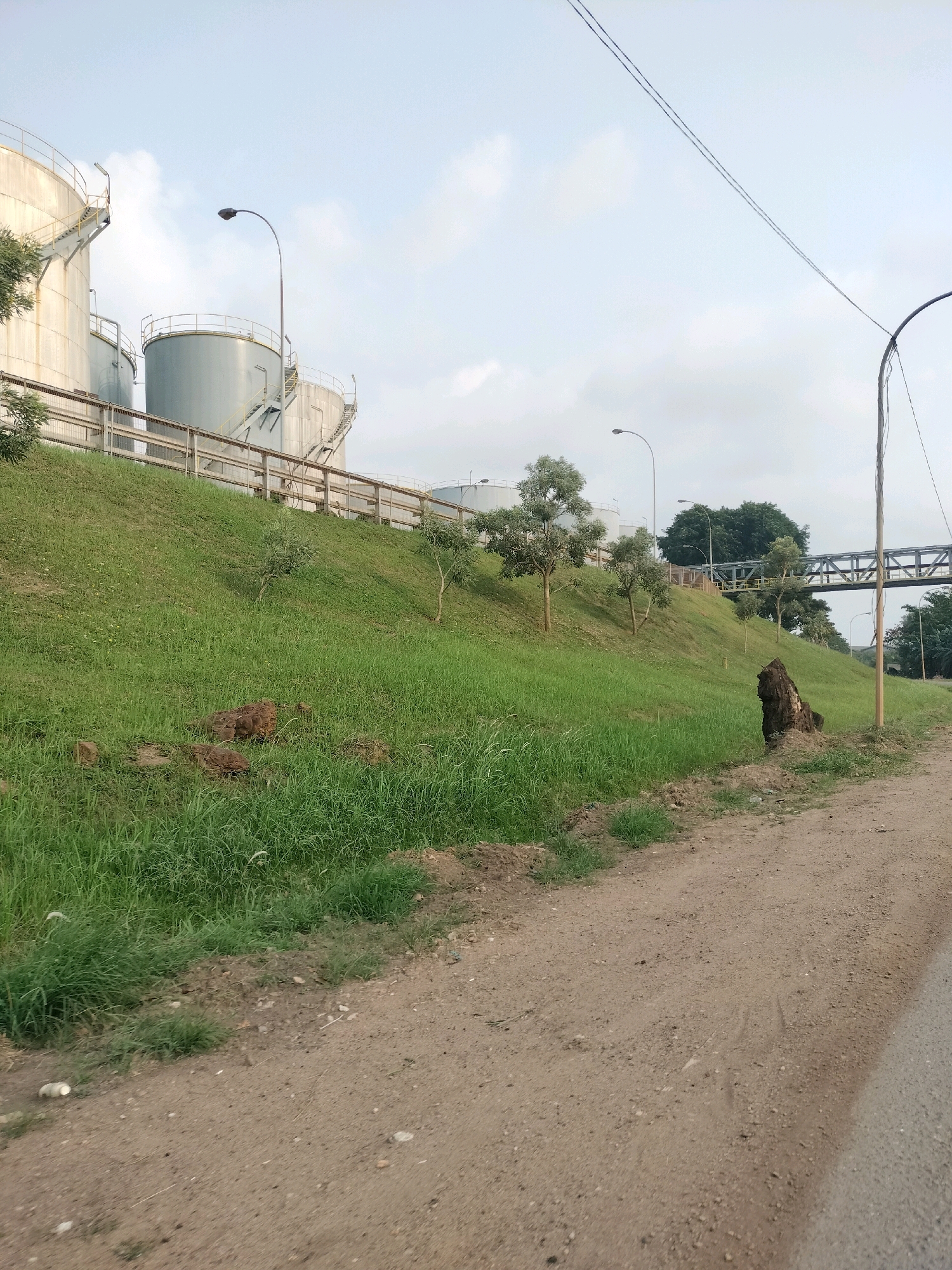 The image shows a landscape with large industrial storage tanks in the background, situated on a grassy hill. A dirt path runs alongside the foreground, with a paved road visible on the right edge. Several young trees are scattered on the hill, and a large piece of driftwood or dead tree trunk lies on the side of the path. Overhead power lines and a pedestrian bridge are also present, suggesting an industrial or port area. The scene appears to be captured during the day, under a cloudy sky. The presence of industrial infrastructure, along with the natural elements, points to a location that could be near a port or industrial complex within Batam, Indonesia.