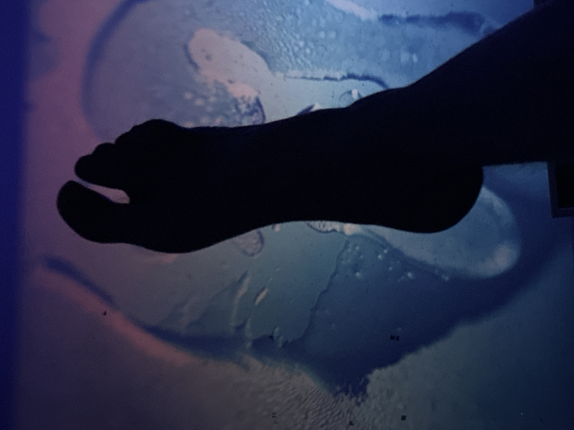 The image shows a dark silhouette of a human foot with visible toes against a background of colorful, abstract shapes and textures. The background appears to be a surface with liquid or paint-like patterns in shades of blue, purple, and pink, with some areas showing water droplets or smudges. The foot is positioned in the center-right of the frame, with the toes pointing towards the top left. There is no indication of the location being Moscow, Russia.