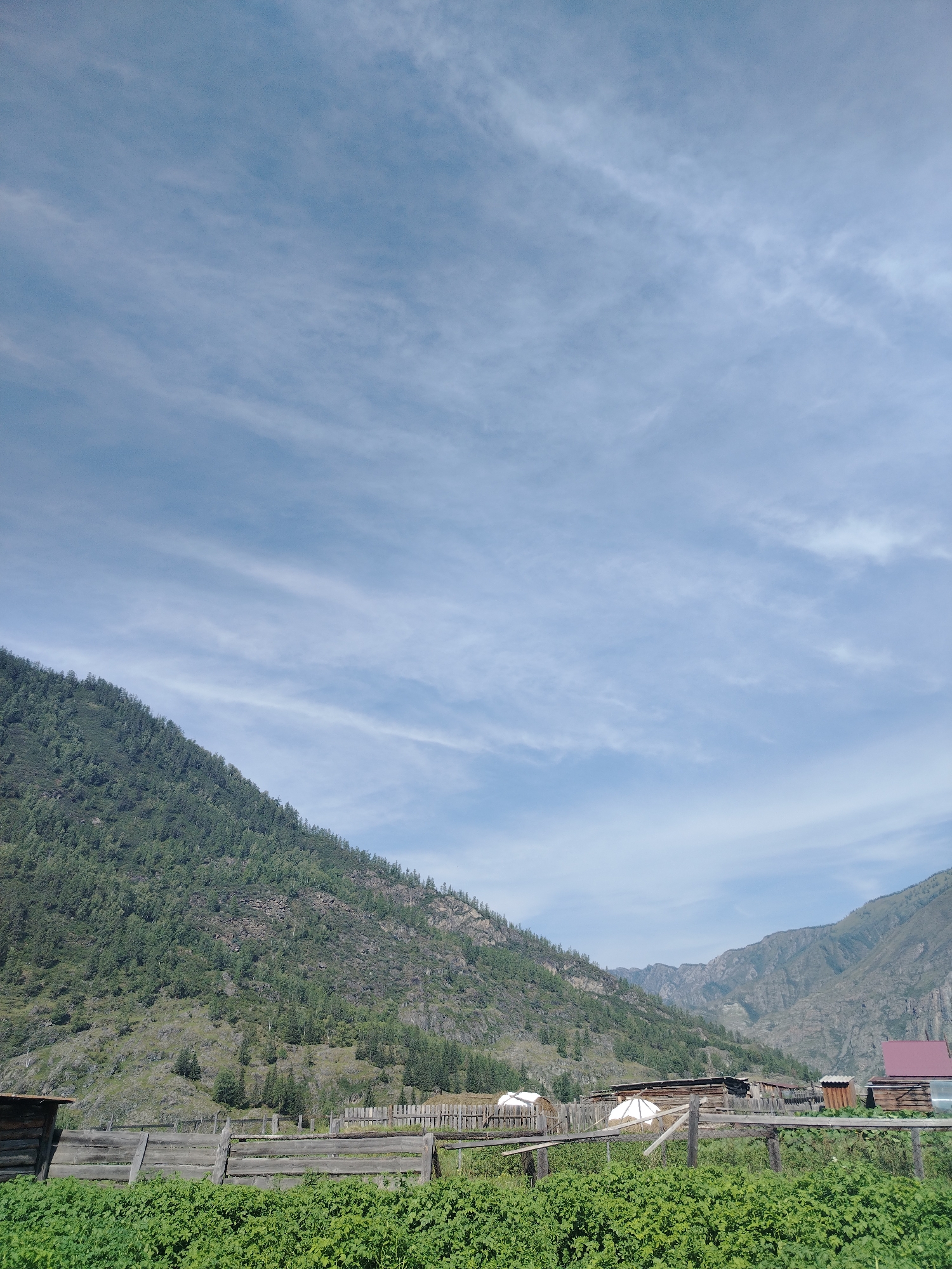 A wide shot captures a serene rural landscape in Iodro, Russia. The sky above is a pale blue, streaked with wispy white clouds. Dominating the left side of the frame is a steep, forested mountain slope, its surface a textured mosaic of dark green trees and rocky outcrops. In the mid-ground, a small collection of wooden structures, likely houses and outbuildings, nestles at the foot of the mountains. A weathered wooden fence runs horizontally across the foreground, separating a lush, green field of low-lying crops from the rest of the scene. To the far right, a small red-roofed building stands out against the more muted tones of the village. The overall impression is one of peaceful, rural life amidst a grand natural setting.