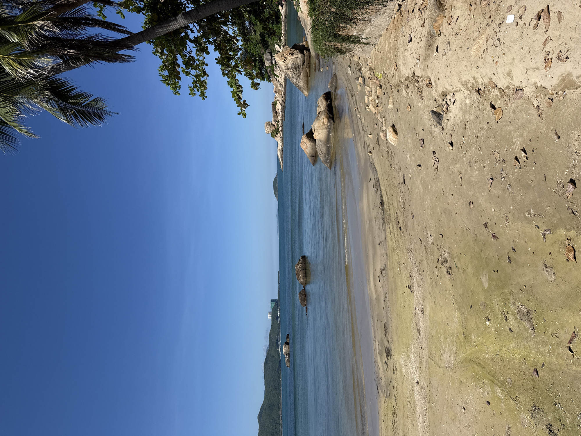 The image depicts a serene coastal scene in Bac Nha Trang Ward, Vietnam, under a clear, vibrant blue sky. The foreground is a sandy beach, appearing slightly damp in patches and scattered with dried leaves and small stones. The waterline is visible, with gentle waves lapping at the shore.
Further out, the calm sea is a tranquil blue-green, reflecting the sky. Several large, weathered rocks are partially submerged or rest on the seabed, adding a natural texture to the water. In the mid-distance, a chain of islands or large landmasses rises from the water, covered in lush green vegetation. One of these islands in the distance features man-made structures, including buildings and construction cranes, suggesting ongoing development.
On the right side of the image, the beach meets a low, stone-built wall covered in green foliage. Overhanging the scene from the upper right corner are the fronds of a palm tree, its leaves casting subtle shadows and framing the view. The overall impression is one of a quiet, natural landscape with subtle signs of human activity in the background. No people are visible in the frame.