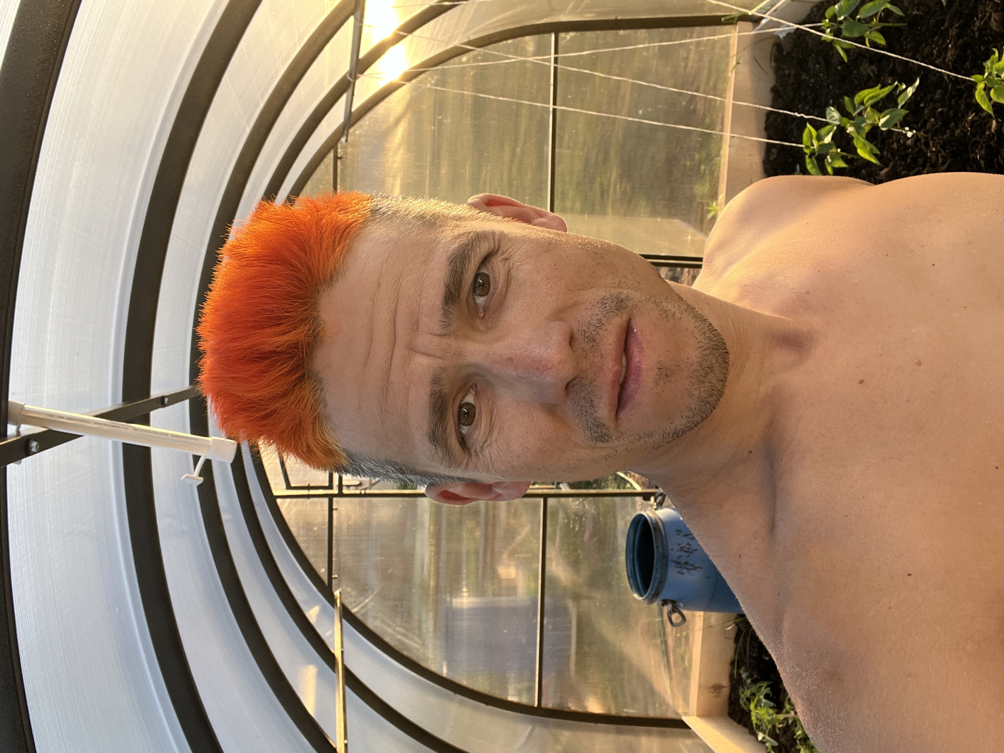 A man with orange hair is standing in what appears to be a greenhouse. The greenhouse has a rounded, arched roof constructed with a white framework and clear panels. There are visible plants growing in the background. The man is shirtless. A blue bucket-like object is seen behind him. The location is specified as Chaikovsky, Russia.