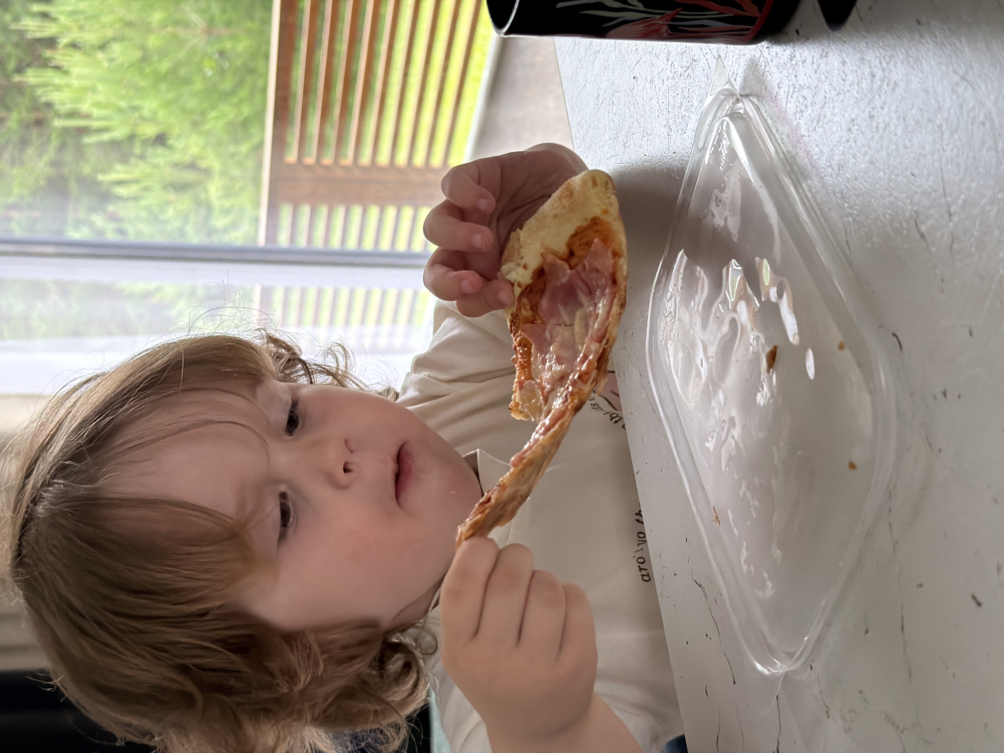 In Kamyennoye, Russia, a young child with curly brown hair sits at a table, holding a slice of pizza. The child, wearing a cream-colored t-shirt with text on it, is looking down at the pizza with a focused expression, a piece of cheese hanging from the crust. In front of the child is a clear plastic container with some remnants of food, and to the right, a black cup with a floral pattern is visible. The background shows a large window with a view of green trees and a wooden railing, suggesting an indoor setting with an outdoor view. The table surface appears to be a light-colored material with visible texture and some dark specks.
