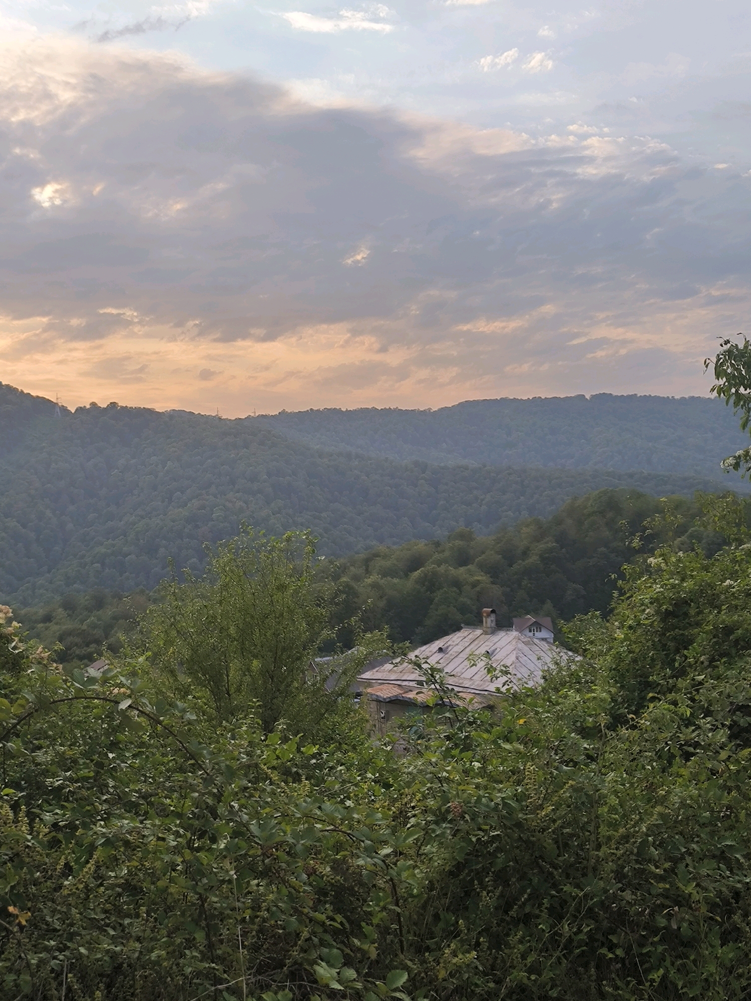 The image depicts a serene landscape with rolling hills covered in lush green trees. In the foreground, dense foliage with various shades of green dominates, with a glimpse of a roof structure peeking through. The roof is made of metal sheeting and appears to be part of a building nestled amongst the trees. In the background, a range of hills recedes into the distance, bathed in the soft, warm light of a sunset. The sky above is a canvas of pale orange and light blue, with wispy clouds scattered across it, suggesting a peaceful end to the day. There are no people or animals visible in the scene. The environment appears to be rural, possibly on the outskirts of a settlement, and given the provided context, this scene is located in Khleborob, Russia. The overall impression is one of tranquility and natural beauty.