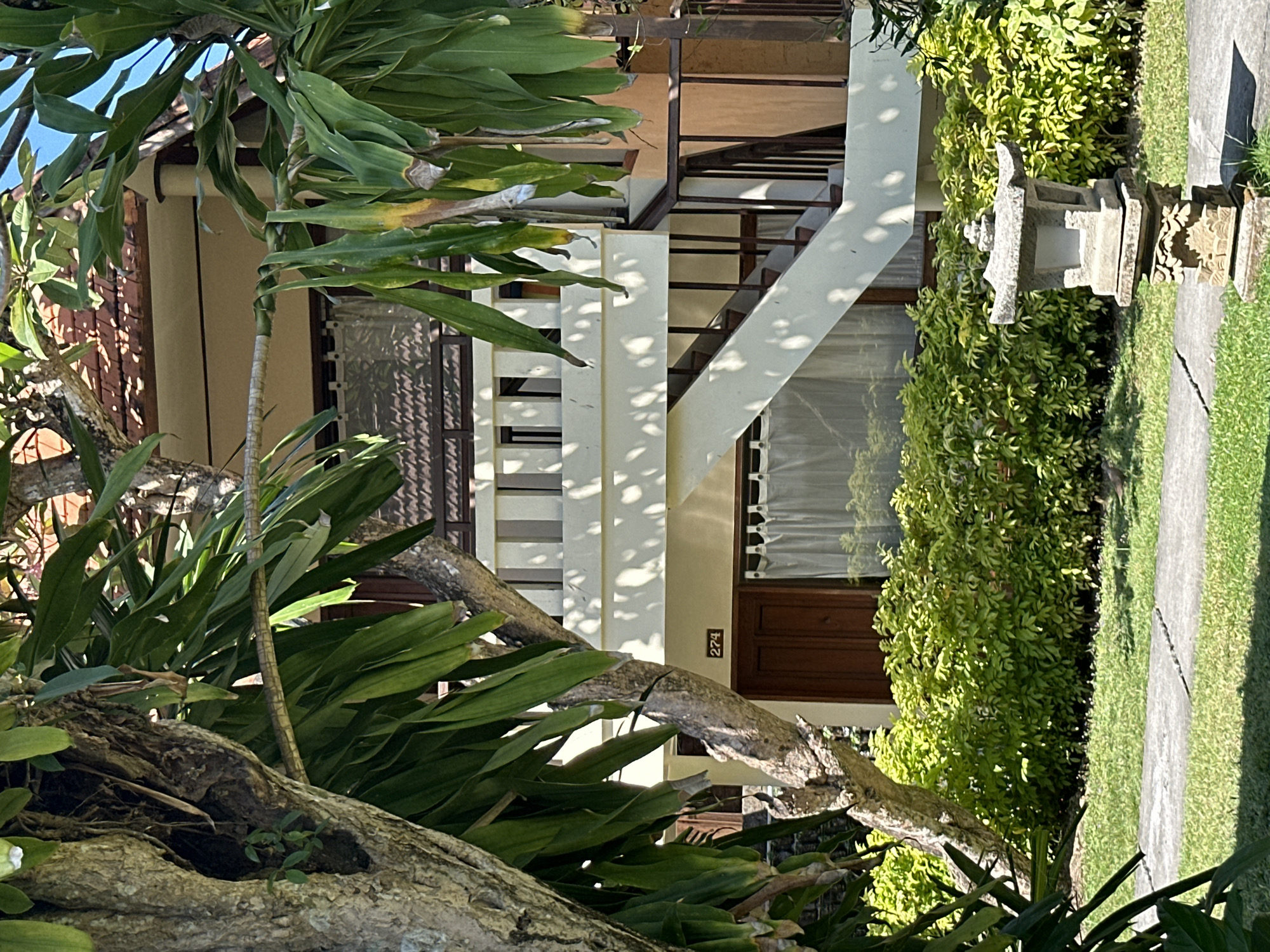 This is a vertical, outdoor, daytime photograph taken in Denpasar, Indonesia. The image shows a lush green garden with a stone lantern, a paved walkway, and a building with an outdoor staircase. The building appears to be two stories high and has a light-colored facade with a wooden door and windows. The staircase is made of metal and has white railings.
In the foreground, there are large green leaves from a tree or plant, partially obscuring the view of the building and staircase. The leaves are vibrant and healthy, suggesting a warm and humid climate. The stone lantern, placed near the walkway, is intricately carved and adds a traditional touch to the scene. The paved walkway is made of concrete and is bordered by a neatly manicured lawn.
The sunlight casts shadows on the building and staircase, indicating it's a sunny day. The overall atmosphere is peaceful and serene, with a sense of tropical tranquility. The building's architecture and the presence of the stone lantern suggest a location that might be a resort, a villa, or a traditional Balinese home. There is a small, dark brown sign on the building with white numbers that reads "274".