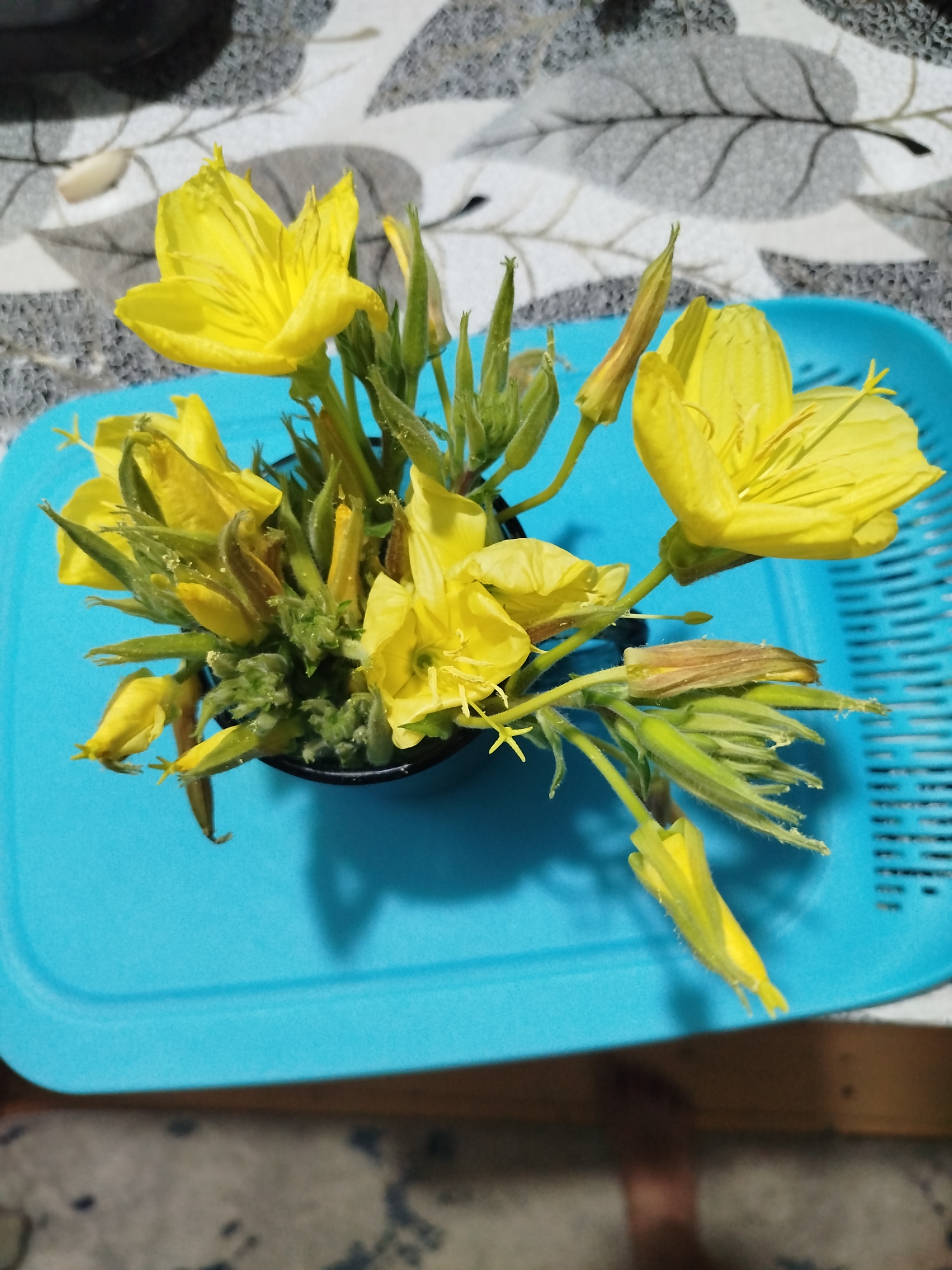 A close-up, top-down shot shows a bouquet of bright yellow flowers, some fully bloomed and others in bud. The flowers are positioned in a small black container, which rests on a blue plastic tray. The tray is placed on a patterned surface, possibly a tablecloth or placemat, with a design of grey leaves on a lighter background. The lighting creates shadows on the surface beneath the tray, suggesting an indoor setting. The scene is devoid of any people or discernible urban elements, indicating it is not in a city.