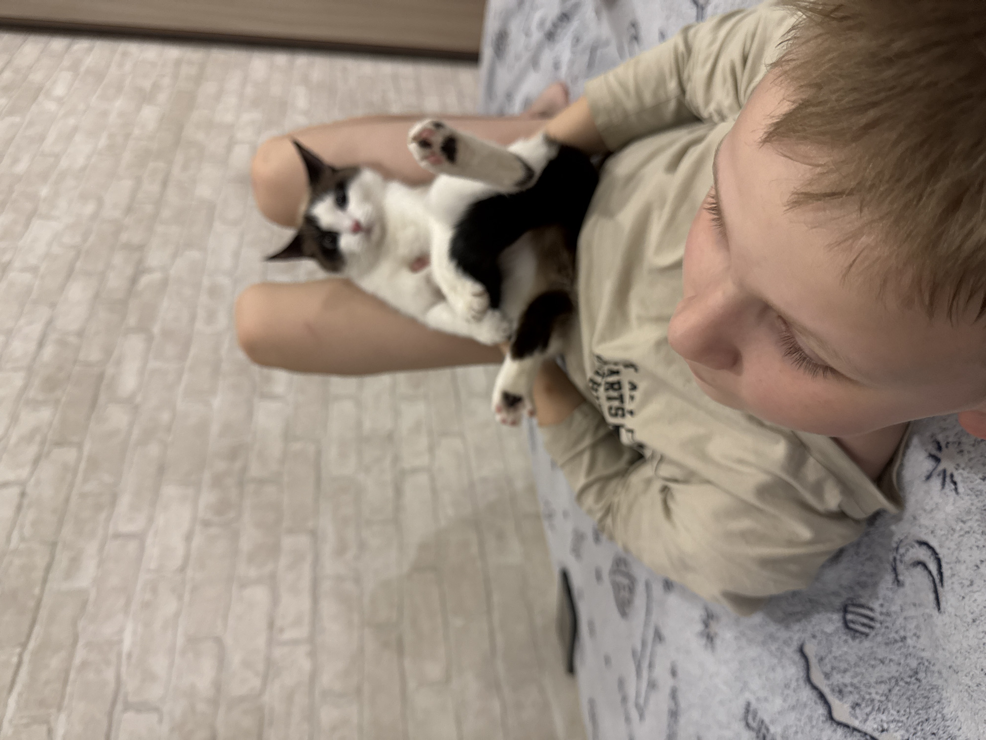 A child is holding a black and white cat. The location appears to be indoors, possibly a home. There is a wall with a light brick pattern in the background. The bedding has a pattern of shapes and lines on it. The city is Chaikovsky, Russia.