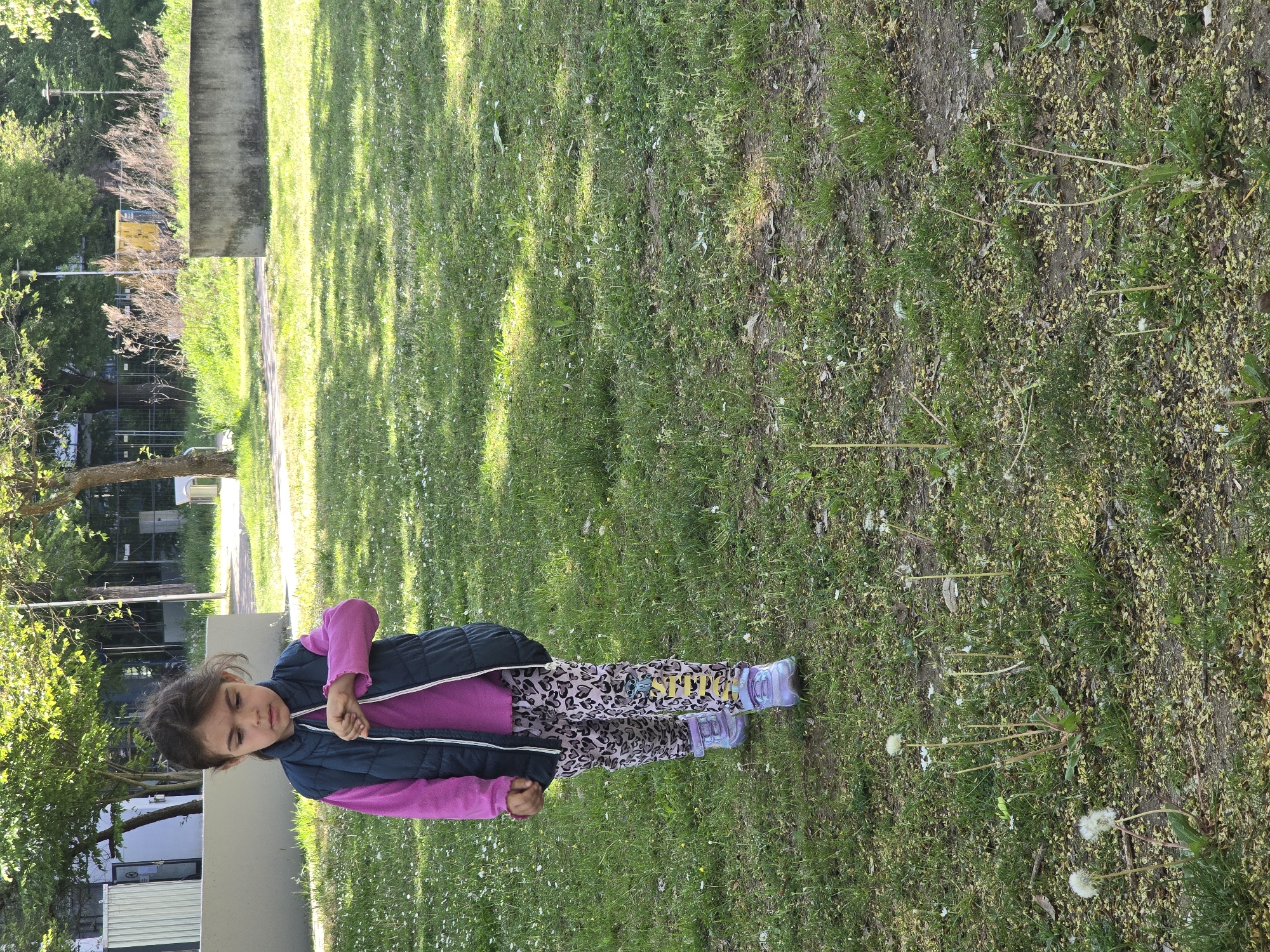 A young girl stands in a grassy area, likely a park, in Zirndorf, Germany. The girl is wearing a pink long-sleeved shirt, a navy blue vest, patterned pants, and light purple shoes. She is standing with her arms folded in front of her. The grass is green, with scattered white flowers and dandelions. Sunlight filters through the trees, creating dappled shadows on the grass. In the background, there is a building with a gray wall, and trees. A pathway made of stone is also visible. The environment suggests a residential area or a park within the city.