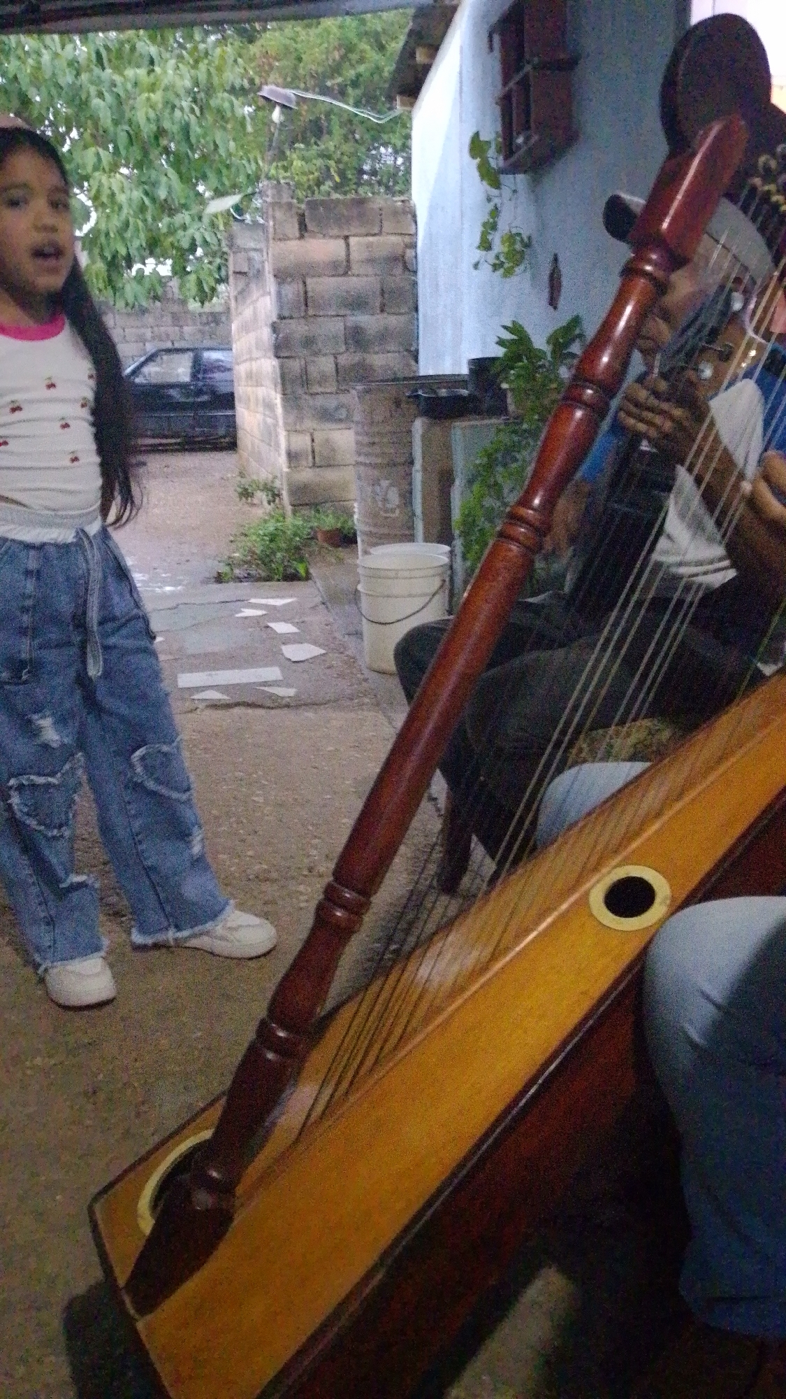 The image shows a young girl standing to the left of a Paraguayan harp played by a man, likely in the city of Tinaquillo, Venezuela.
**People:** A young girl with long dark hair is standing to the left, wearing a white shirt with cherries and distressed blue jeans. A man is seated, playing the Paraguayan harp.
**Subjects:** The primary subjects are the girl and the man playing the harp. The harp itself is a significant subject.
**Objects:** A Paraguayan harp with multiple strings and a wooden frame is the central object. A white bucket is visible in the background, as well as a black car.
**Actions:** The girl is standing and looking towards the camera. The man is playing the harp.
**Interactions:** The girl appears to be observing the man playing the harp. The relationship between them is unknown from the image.
**Environment:** The scene appears to be outdoors, possibly in a courtyard or patio. There is a brick wall and a house with a window in the background. The ground appears to be concrete or stone. The presence of plants suggests a residential area. The image captures a cultural element represented by the Paraguayan harp.