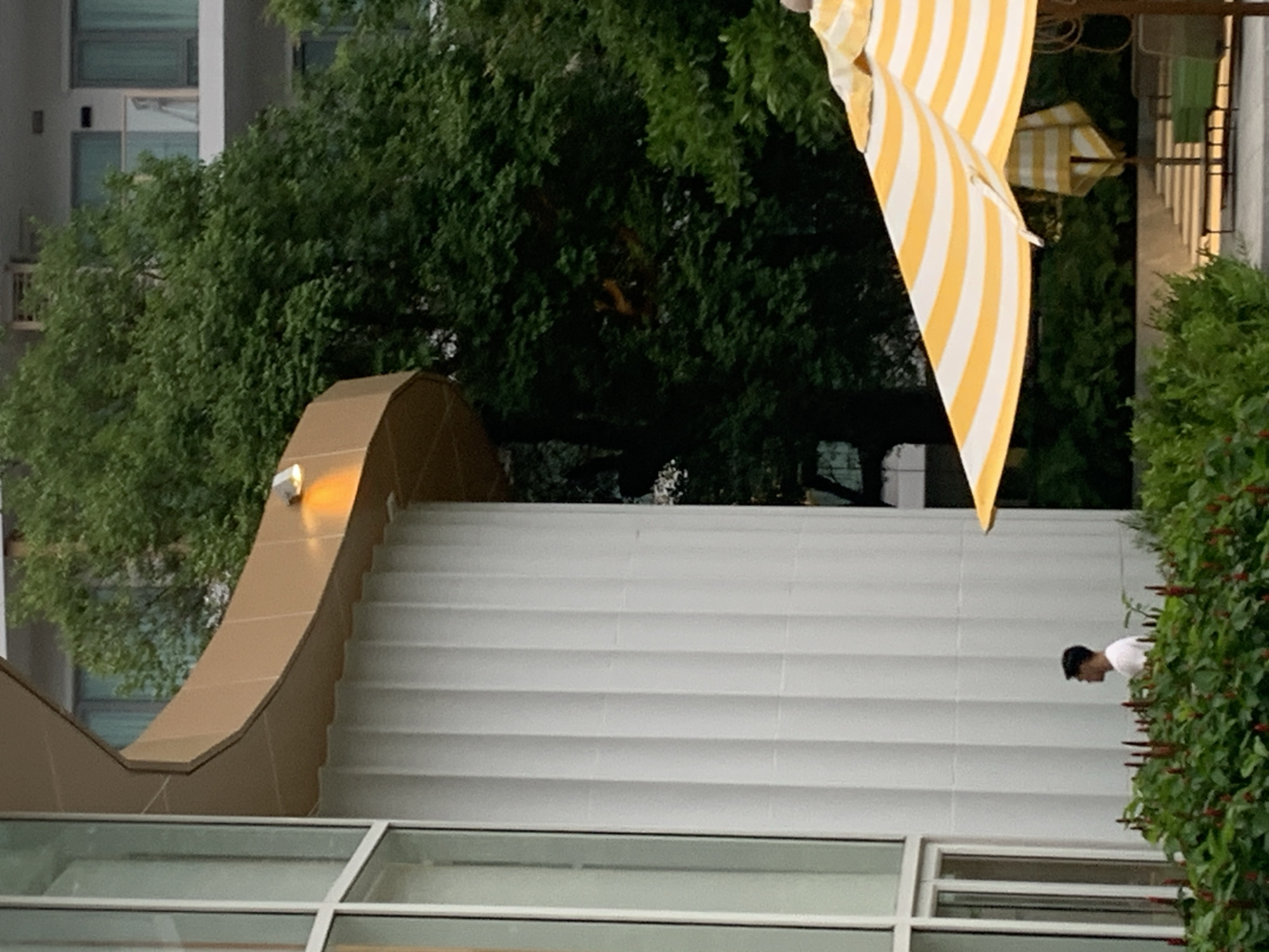 An eye-level, medium shot captures a man in a white t-shirt standing amongst lush green foliage in front of a modern building. The man is positioned in the lower left quadrant of the frame, facing left in profile. The building behind him features a white, fluted facade and a curved, gold-colored awning with a light fixture. To the right of the man, a portion of a yellow and white striped umbrella is visible, angled downwards. In the background, dense green trees obscure a portion of a multi-story building with visible windows and balconies. The overall scene suggests an outdoor urban environment, possibly a hotel courtyard or a public space.