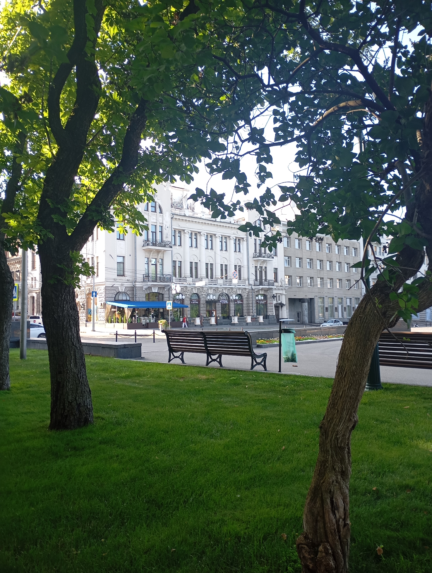 The image depicts a street view in Kharkiv, Ukraine, with a focus on a park area in the foreground and urban architecture in the background. Lush green grass covers the foreground, with the trunks of two trees prominent on either side. Park benches with dark wooden slats and ornate black metal legs are positioned on the grass, facing a paved walkway. Beyond the walkway, a street is visible with a blue awning covering an outdoor seating area for a cafe or restaurant. Two people are walking on the sidewalk. The buildings in the background are multi-story, featuring classical architectural elements with columns, balconies, and arched windows on the front building, and a more modern, utilitarian facade on the adjacent building. A light-colored car is parked on the street. A green trash bin with a bag is situated near one of the benches. The scene is bathed in bright sunlight, suggesting it is daytime.