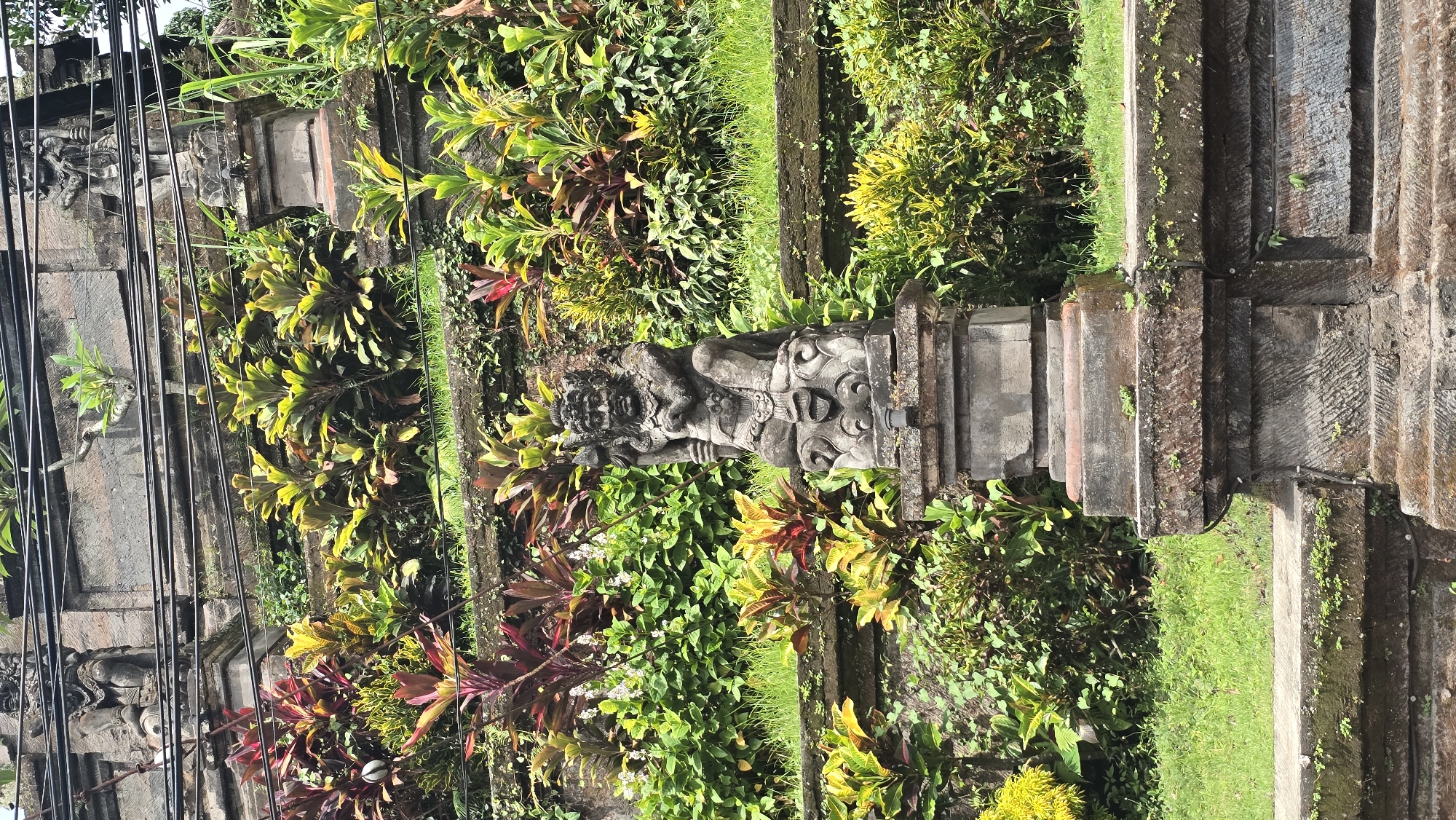 The image, rotated 90 degrees clockwise, captures a vibrant, sunlit tropical garden in the Ubud District, Indonesia, featuring traditional Balinese stone artistry and architecture. At the center, a weathered stone statue, likely a guardian figure such as a Rakshasa, is prominently displayed on a stone pedestal. The statue is intricately carved, depicting a powerful, mythical being with a detailed facial expression and body adorned with traditional motifs.
Lush foliage surrounds the statue and extends throughout the scene. Various tropical plants with broad leaves display a rich palette of greens, yellows, and reddish-purple hues, indicating a healthy, overgrown environment. The sunlight highlights the textures of the leaves and the stone.
Behind and around the statue are visible elements of ancient stone architecture, including multi-tiered platforms or steps covered in moss and small plants, suggesting age and natural integration. These structures feature carved details characteristic of Balinese craftsmanship. In the upper left quadrant of the upright image, several dark electrical cables run horizontally, introducing a modern element into the otherwise historical and natural setting.
The scene is devoid of people and appears static, conveying a sense of tranquility and ancient mystique. The bright daytime lighting indicates sunny weather, casting clear shadows. No visible text is present in the image. The combination of the specific statue type, architectural style, and dense tropical vegetation strongly situates the scene within its designated location context of Ubud.