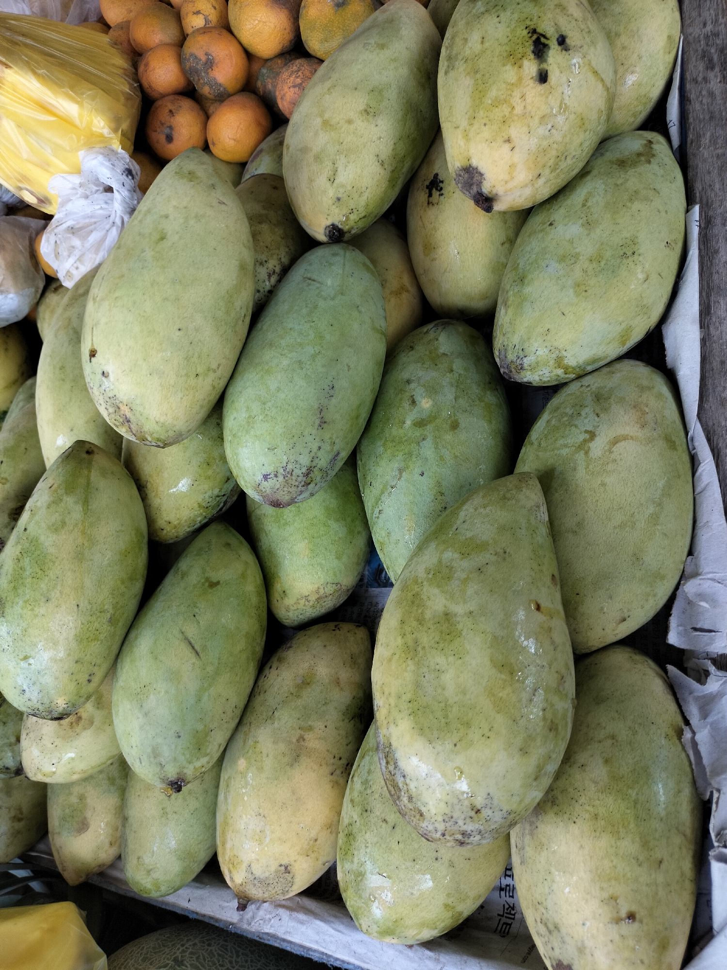 A close-up, overhead shot shows a pile of light green mangoes, some with yellow undertones and dark spots, displayed on what appears to be a market stall. In the background, to the left, is a yellow plastic bag, possibly containing more produce, and to the far left, some orange fruits, likely tangerines or oranges, are visible. The mangoes are wet, suggesting they may have been washed or are naturally moist. The scene is likely located in a market in Kotapantonlabu, Indonesia.