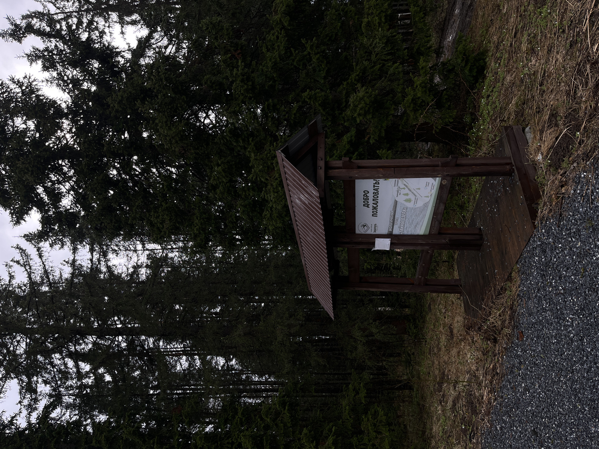 A dark forest landscape in Zyuratkul', Russia, features a wooden information kiosk with a brown, corrugated metal roof. The kiosk displays a sign with Cyrillic text and a diagram of the surrounding area. Tall evergreen trees dominate the left side of the frame, while a patch of grassy ground and a gravel path are visible to the right of the kiosk. The sky is overcast.