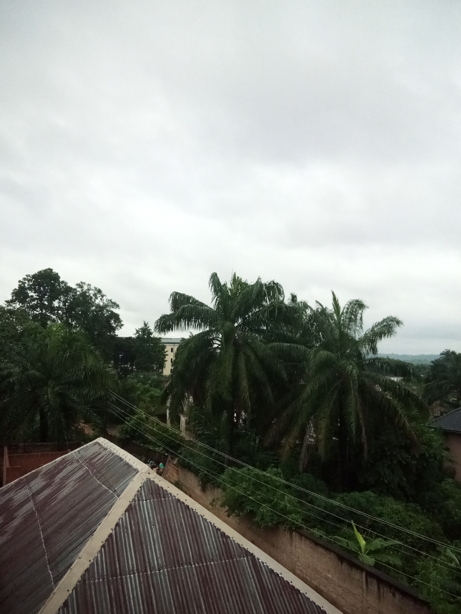 The image depicts an overcast sky above a lush, green landscape in Nanka, Nigeria. In the foreground, a corrugated metal roof is visible, indicating residential structures. Beyond the roof, a dense arrangement of palm trees and other foliage dominates the mid-ground, with a building partially visible through the trees. Utility wires crisscross the scene, suggesting the presence of infrastructure. The overall impression is one of a humid, tropical environment, possibly during or after rainfall given the dull lighting and the sheen on the roof.