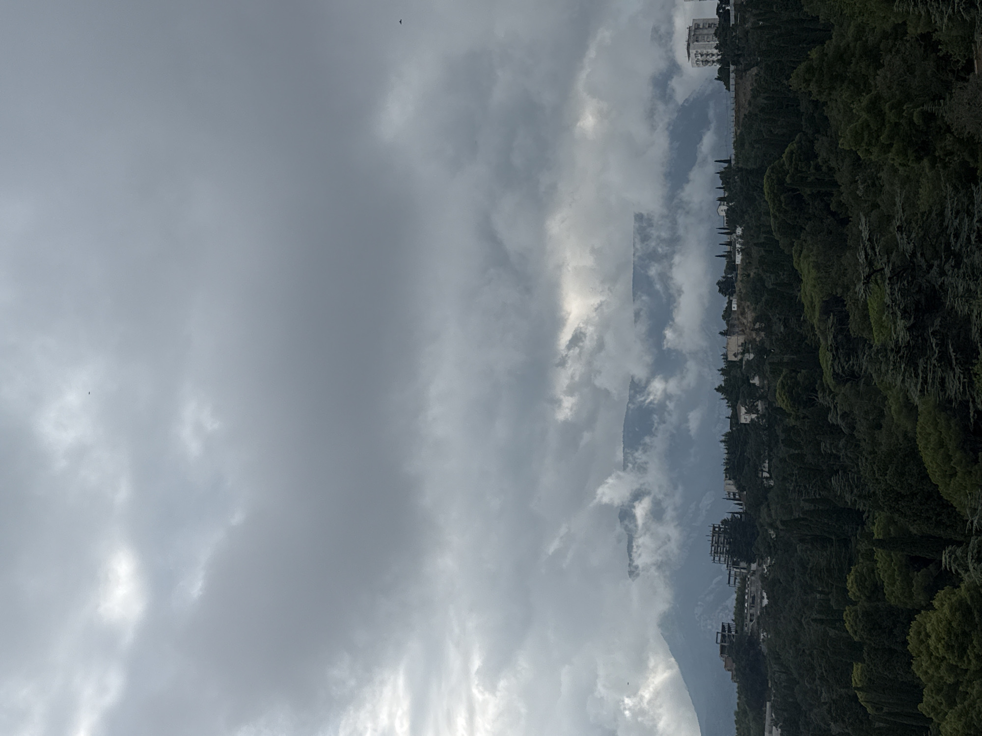 The image depicts a cloudy, overcast sky over a densely forested hillside in Yalta, Ukraine. The mountains in the background are partially obscured by clouds. On the hillside, several buildings are visible, some appearing to be under construction or abandoned, while others are more modern apartment buildings. The foreground is dominated by dark green trees, primarily conifers, suggesting a natural landscape interspersed with urban development. The overall atmosphere is somber due to the heavy cloud cover.