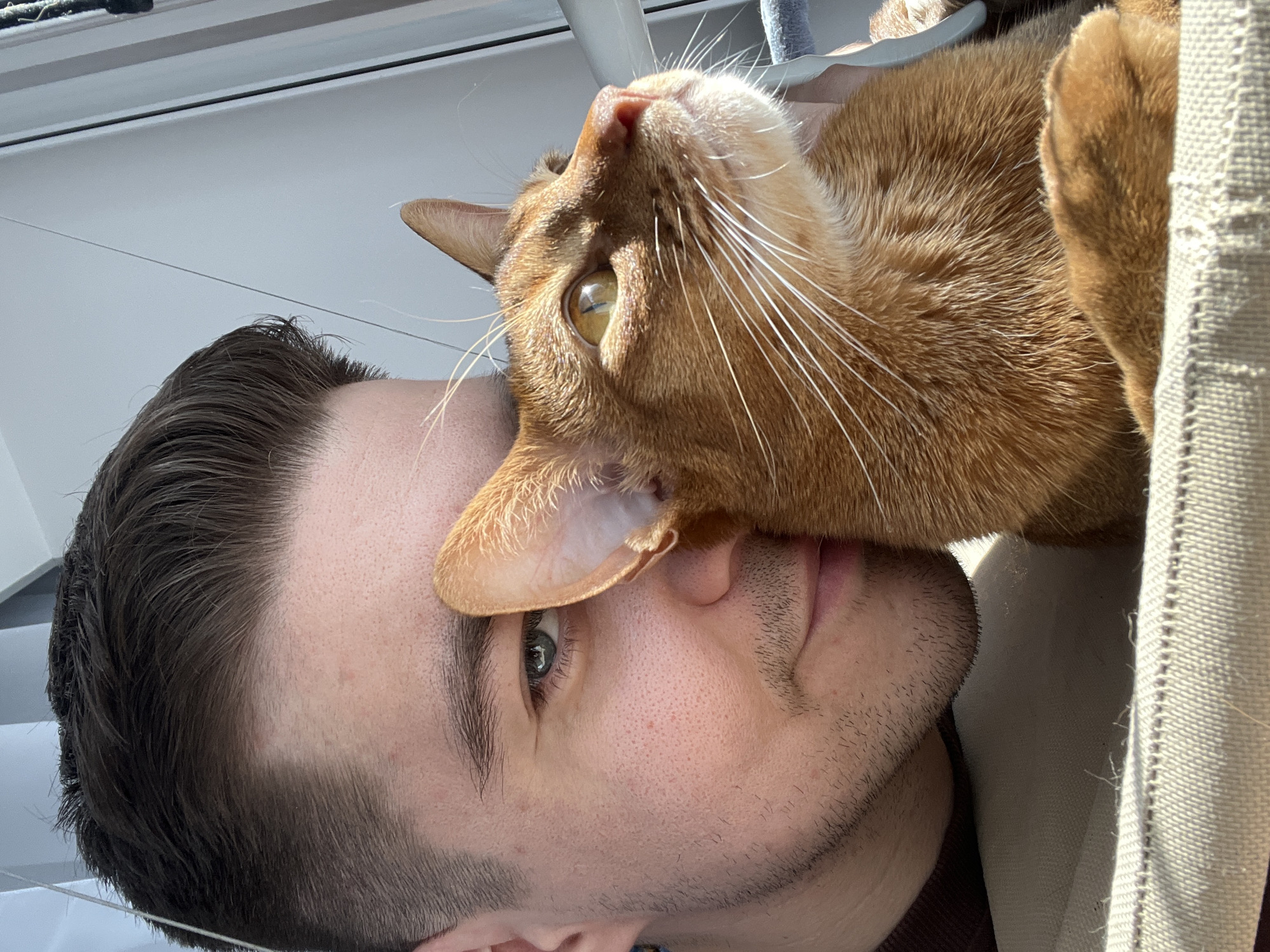 An adult male and an Abyssinian cat are depicted in a close-up indoor shot. The male, with fair skin, short dark brown hair, light stubble, and green eyes, has his left cheek pressed against the cat's right side. A slight smile is visible on his face, and his left eye is open, looking towards the viewer. He wears a dark brown garment.
The Abyssinian cat exhibits reddish-orange/cinnamon short fur, prominent white whiskers, and amber-colored eyes. Its head is tilted upwards and to the right, looking away from the camera. One of its front paws rests on a beige, textured fabric surface.
The background features a brightly lit white window frame, indicating a strong natural light source from the right. The foreground shows the same beige textured fabric. The scene is set indoors, within a residence located in Kazan, Russia.
