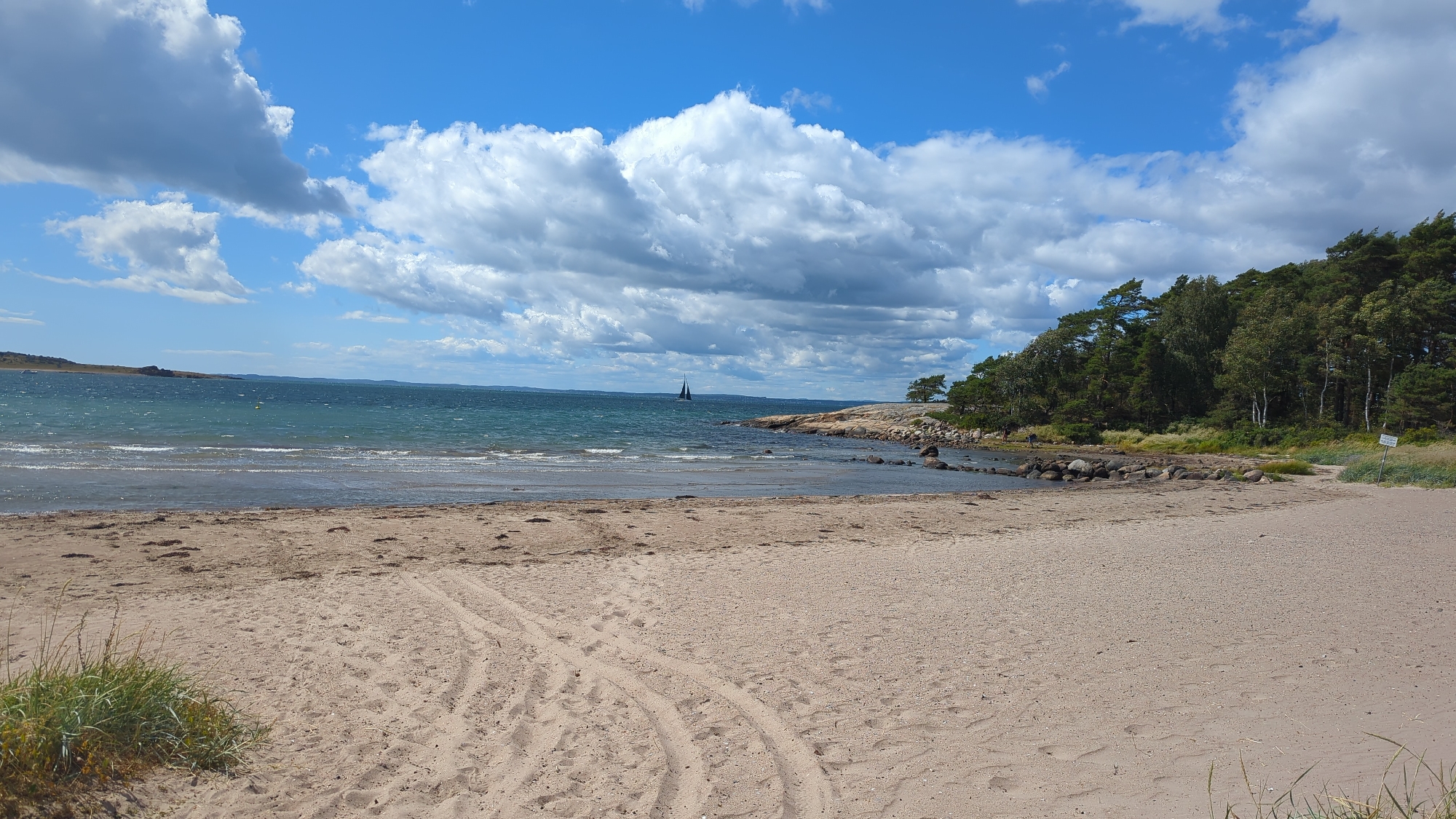 The image depicts a sandy beach in Larkollen, Norway, on a bright, partly cloudy day. The foreground is dominated by light brown sand with tire tracks and some sparse green grass on the left. The midground shows a calm, blue sea with gentle waves lapping at the shore, with scattered seaweed and small stones. In the distance, a solitary dark sailboat is visible on the water. To the right of the water, a rocky shoreline transitions into a dense forest of green coniferous trees and some deciduous trees, with a few white birch trees interspersed. A signpost is partially visible near the edge of the forest on the right. The sky is a vibrant blue with large, fluffy white clouds.