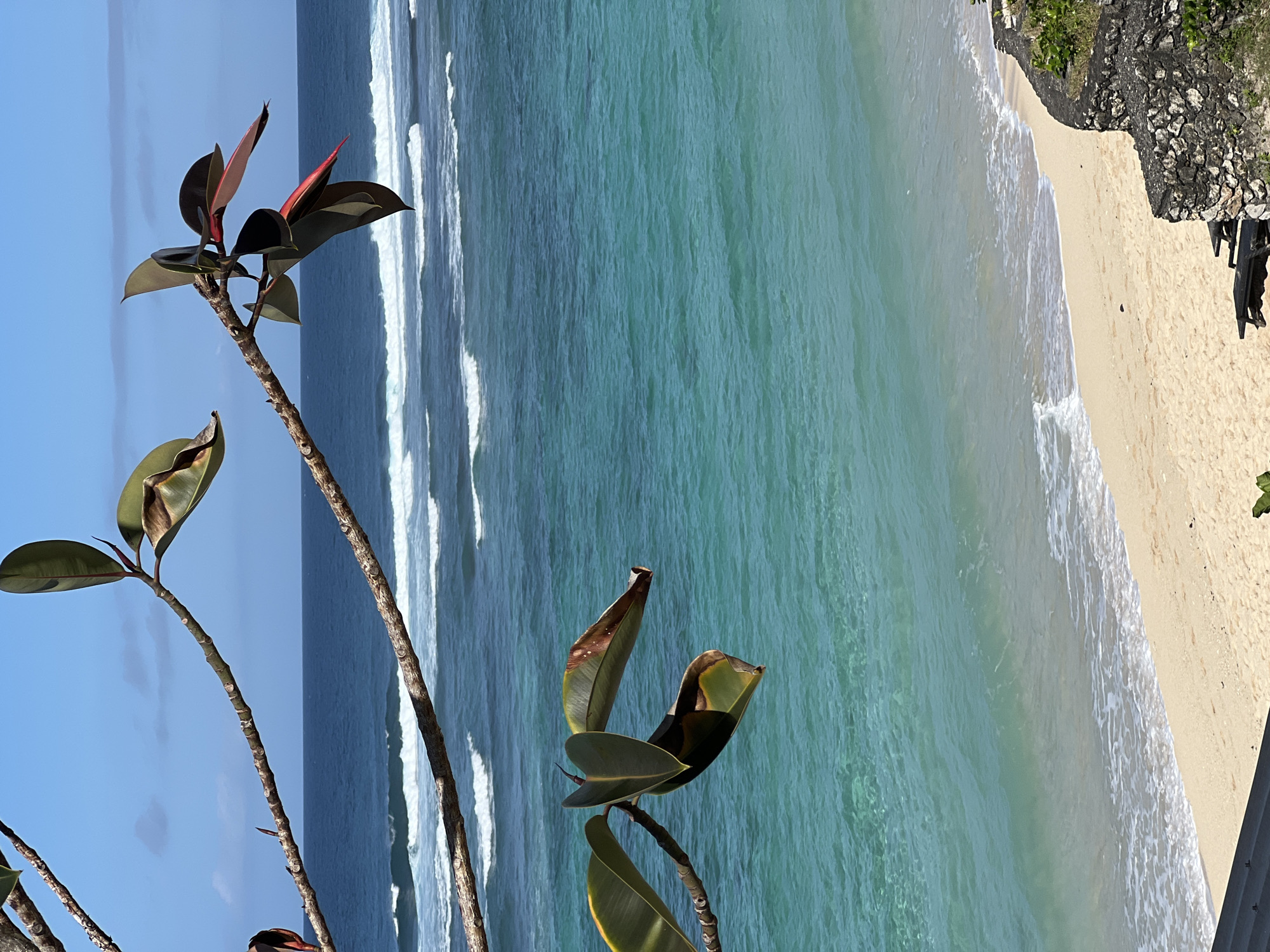 The image is an eye-level, landscape-orientation shot of a beach with a plant in the foreground. The location is Kuta Selatan, Indonesia.
The ocean occupies the majority of the frame with a light blue-green tint closer to the shore, becoming a darker blue further away. Waves are visible, breaking along the shoreline.
The shoreline consists of a sandy beach with a light tan color. At the top right corner, there's a rocky cliff covered in sparse vegetation.
In the foreground, a plant with reddish-brown leaves is present on the left side of the image. The branches are thin and brown.