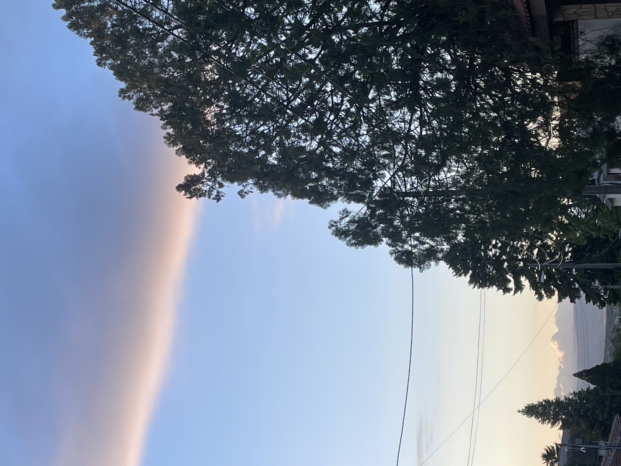 A sky with a notable cloud formation exhibiting a strip-like structure is observed on the left side of the frame. The coloration ranges from a light pink to a gradient towards a pale blue. The sky is a lighter blue on the right, contrasting with the cloud.
A dense canopy of trees occupies the upper right area, with visible branches and leaves that fill a substantial portion of the frame. Beneath the tree canopy, electric lines extend vertically.
Buildings or structures can be seen on the right side of the image, indicating an urban setting. The presence of tree lines suggests an area where nature and urban landscapes intersect.