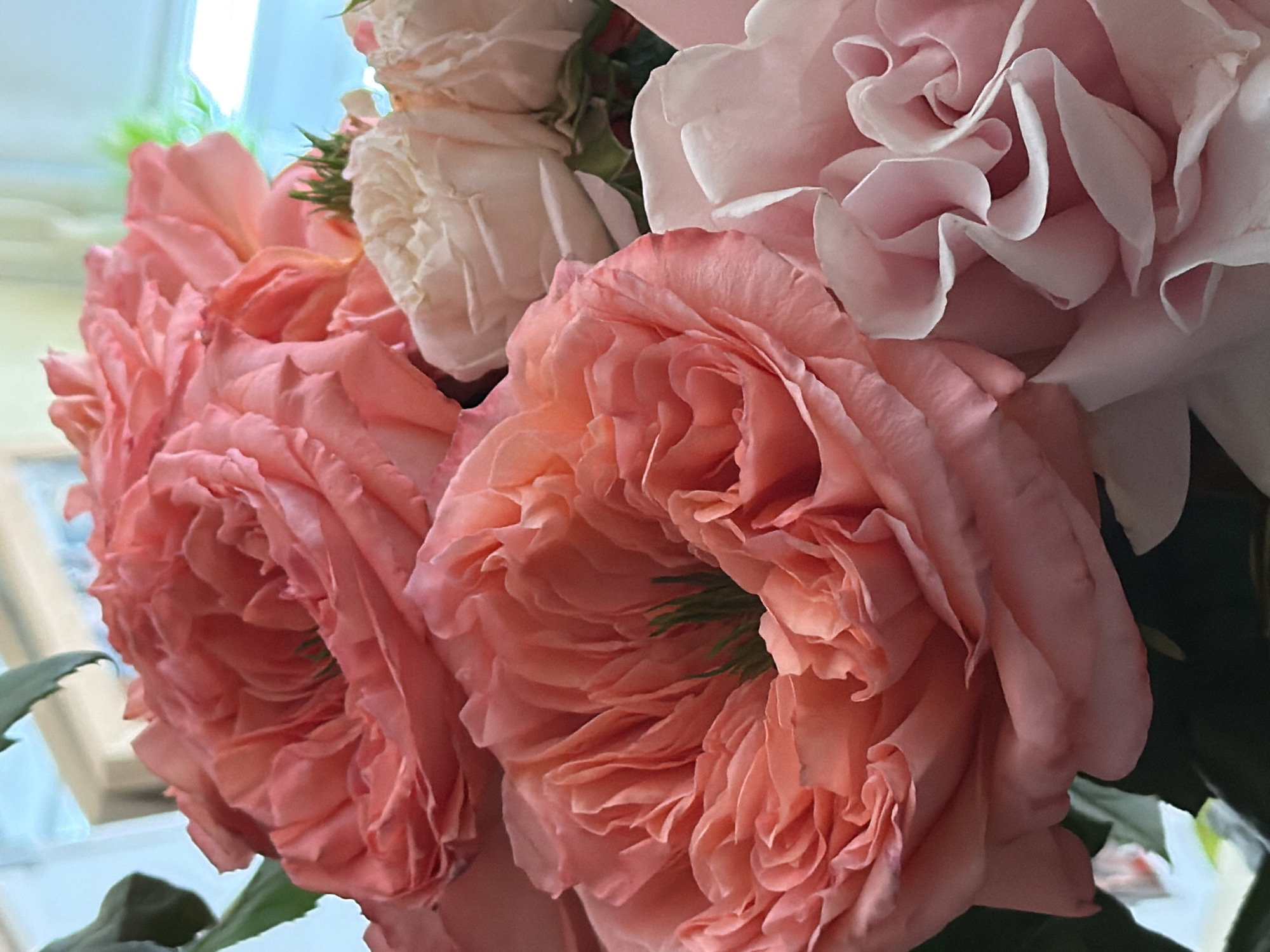 A close-up, eye-level shot shows a bouquet of roses, predominantly in shades of pink and coral. Several large, fully bloomed roses with ruffled petals dominate the foreground and midground. Their centers show hints of green. Behind them, smaller, lighter pink and cream-colored roses are visible, some appearing to be buds. The background is softly blurred, with hints of greenery and a bright, out-of-focus area that could be a window with natural light. The overall impression is one of natural beauty and delicate textures. There is no indication of the city of Khimki, Russia, or any specific location within it.