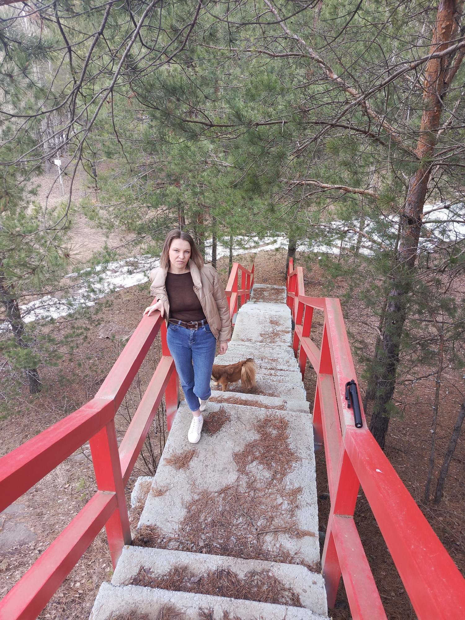 This image depicts a woman and a dog on a concrete staircase with prominent red metal railings, set within a natural, wooded environment in Chaikovsky, Russia.
The central figure is a woman, appearing to be in her late 20s to early 40s, with light brown hair. She is wearing a light tan or beige padded jacket over a dark brown long-sleeved top, blue jeans, and white sneakers. She is positioned on the stairs, leaning slightly on the left red railing, and looking directly at the camera with a neutral expression. Beside her and slightly below on the stairs is a small to medium-sized, long-haired dog with light brown fur, also facing downwards.
The staircase descends into a forest or wooded area, with tall pine trees visible throughout the frame. The ground beneath the trees is covered with brown pine needles, dry leaves, and distinct patches of snow, indicating a cool season, likely late winter or early spring. The concrete steps of the staircase are also dusted with pine needles. A black, cylindrical object, possibly a selfie stick or small tripod, is resting on the right red railing further down. The natural lighting suggests it is daytime, possibly under an overcast sky, as there are no strong shadows. There is no visible text in the image. The scene captures a quiet moment outdoors, possibly during a walk or hike.