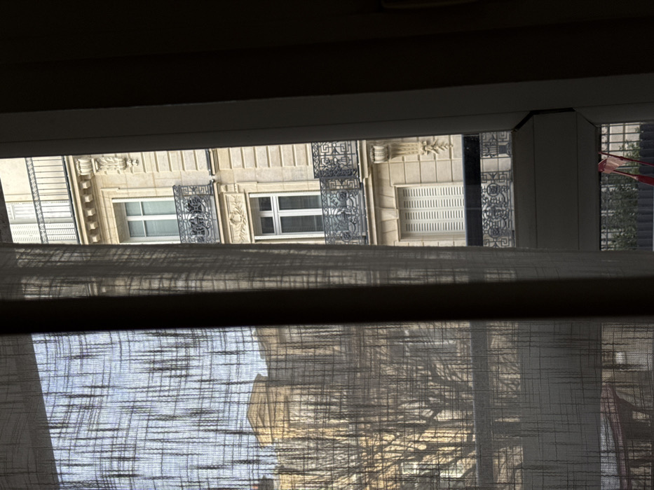 The image displays an exterior urban scene viewed from an interior window, partially obscured by a light-colored, sheer curtain with a textured grid pattern on the left and a dark window frame on the right. Directly opposite, a multi-story Haussmannian-style building with a light stone facade is visible, featuring white-framed windows and ornate black wrought-iron balconies on several levels. Architectural details include decorative carvings above a lower window and below some balconies. Some windows on the opposite building are fitted with closed white louvered shutters. Through the left side of the window and curtain, distant Parisian rooftops and the bare branches of deciduous trees are silhouetted against a bright sky. A faint red object is partially visible on the ground level below the immediate window frame. The architectural style clearly indicates the location as Paris, France.