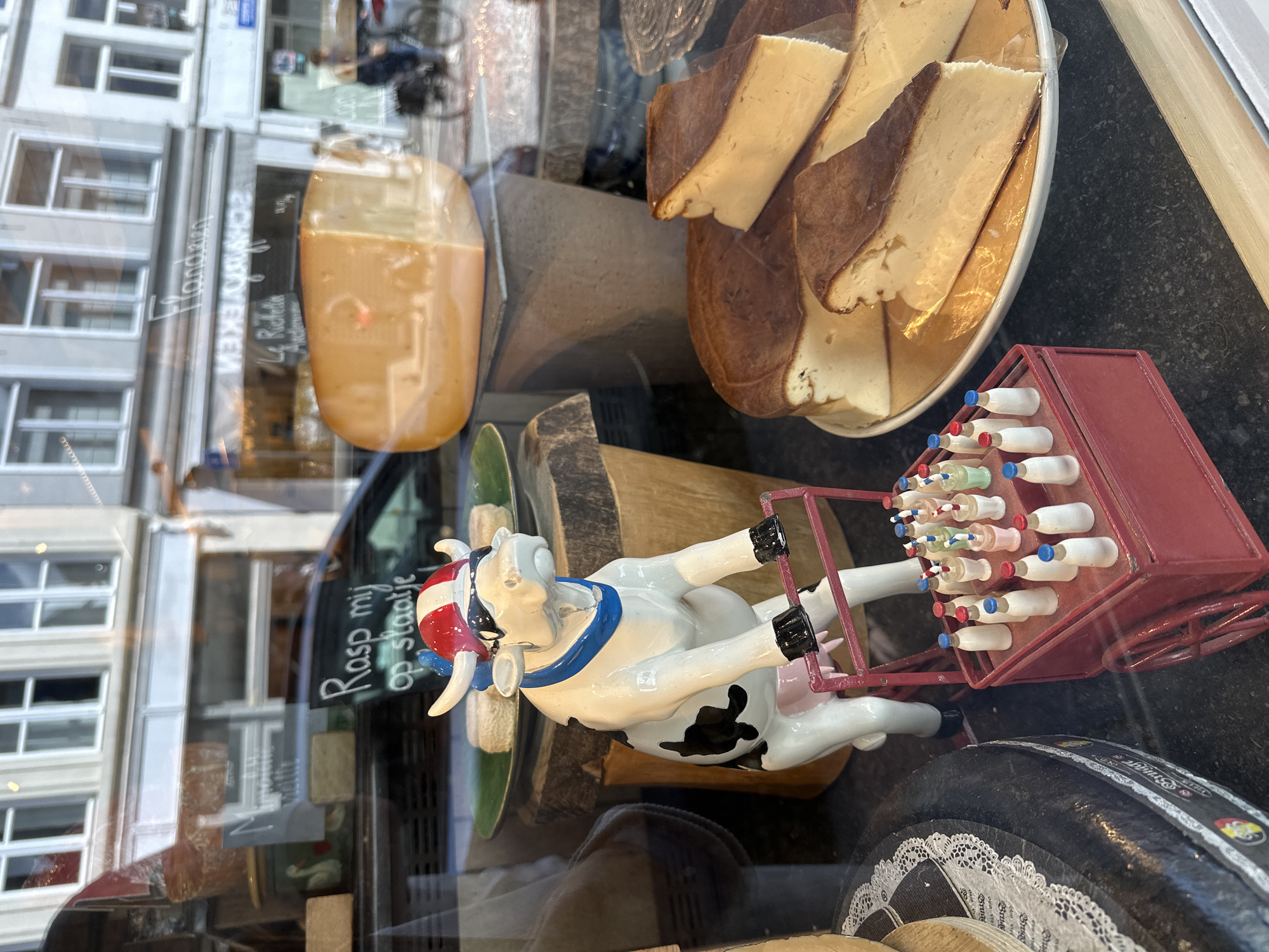 In Bruges, Belgium, a cheese shop window display features a ceramic cow figurine wearing a red, white, and blue striped hat and sunglasses, pushing a red cart filled with miniature milk bottles. Behind the cow, a large wedge of cheese rests on a wooden surface, with more sliced cheese on a plate in the foreground. Reflected in the window are buildings with multiple windows and signage, including "Flandria" and "SCHAERBEEK." A person on a bicycle is visible in the reflection.