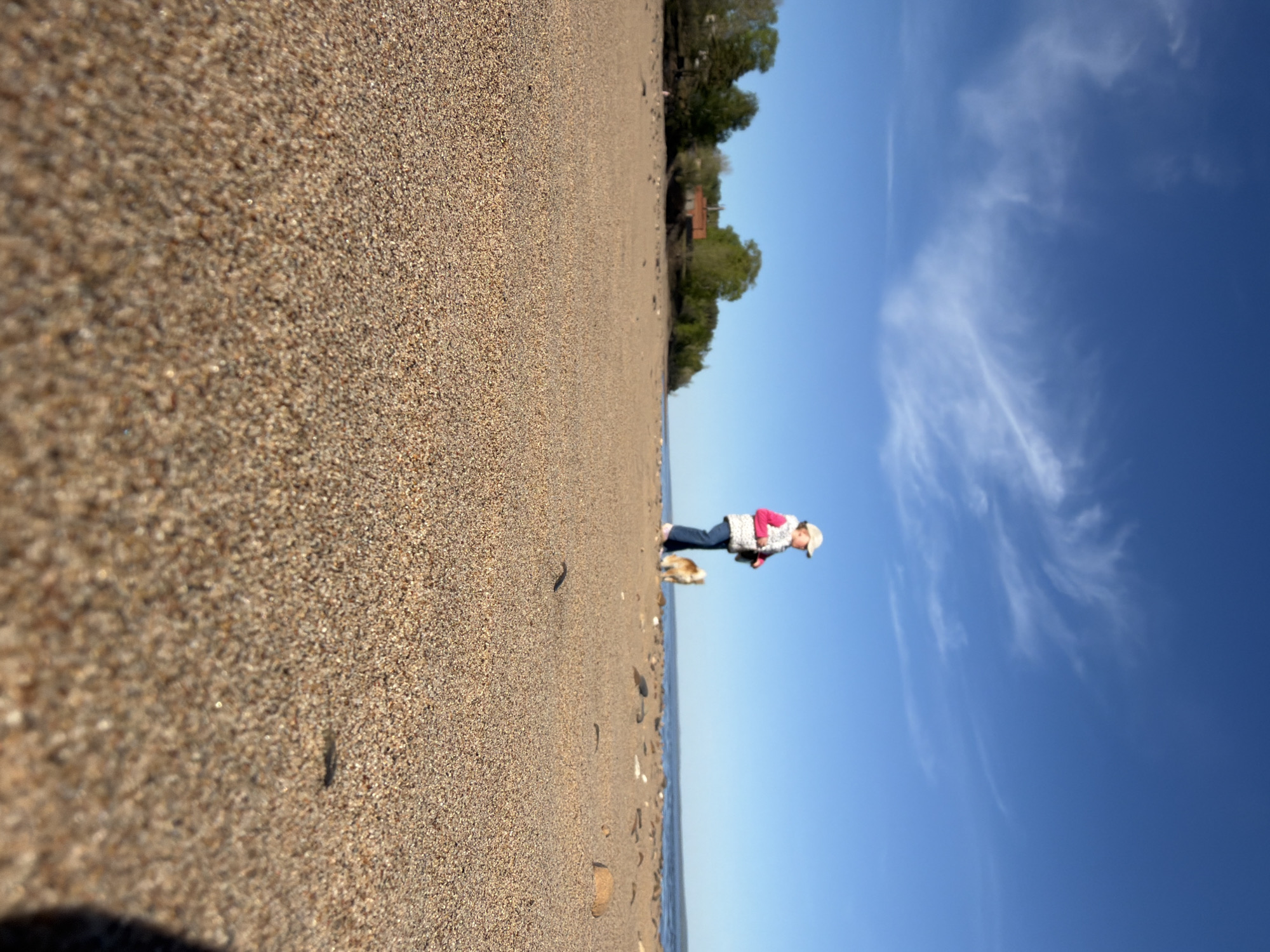 A horizontally-oriented, full shot captures a beach scene. The beach, composed of fine sand, spans a significant portion of the frame. In the mid-ground, a person stands near the shoreline. They wear a light-colored jacket with a red accent, blue jeans, and a hat. A small dog is situated near them. The background transitions from the sand to a strip of vegetation and trees, then to a clear blue sky marked by whispy clouds. The location is Noviy, Russia.