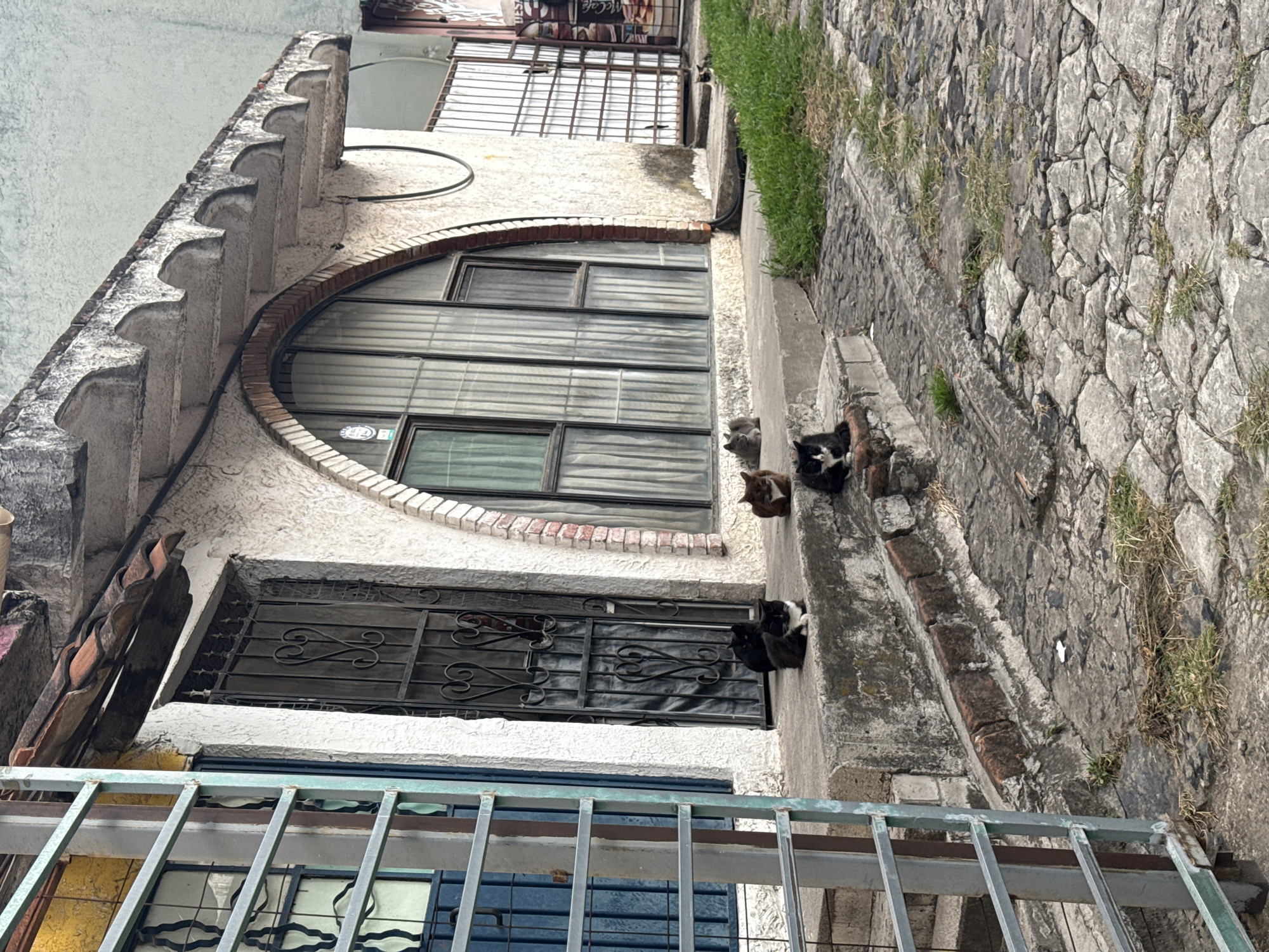 The photograph shows a building exterior in San Andrés Cholula, Mexico. The building features arched windows with horizontal panes and a wrought-iron window covering below. Three cats are resting on the building's ledge. The structure is off-white, with aged and weathered surfaces. The sidewalk is paved with irregular stones. A green metal railing is visible in the foreground. The lighting suggests it's daytime.
