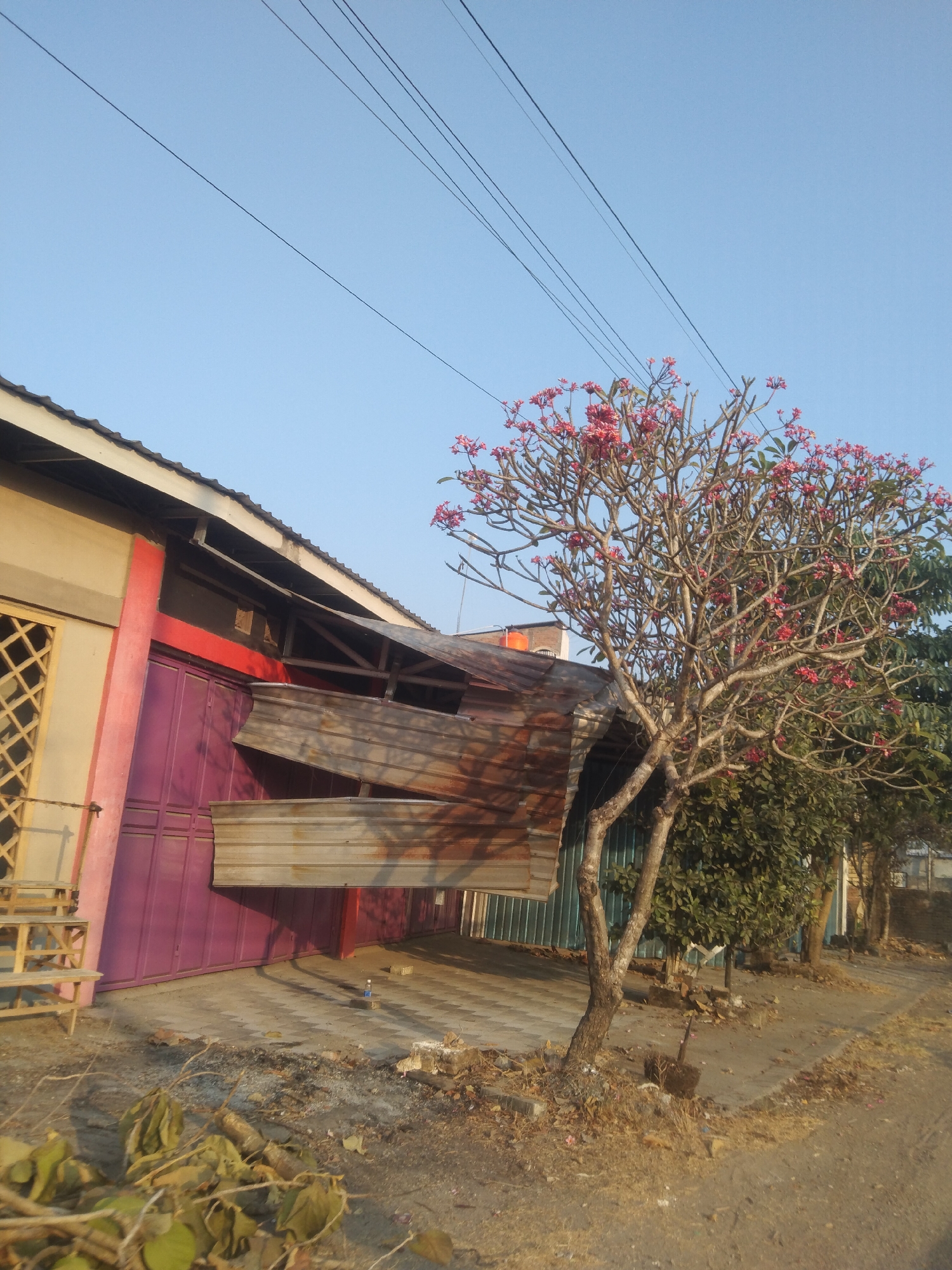 The image depicts a street scene in Growok, Indonesia, characterized by a building with a purple folding door, a damaged metal awning, and a flowering tree. The building appears to be a shop or business, with a yellow-gridded window visible on the left. The awning, made of corrugated metal, is partially detached and bent outwards, showing signs of rust. A frangipani tree with pink flowers stands in front of the building. Behind the tree, other foliage and trees are visible, as well as a portion of another building with a blue corrugated metal facade. The ground is paved with interlocking bricks in front of the building, transitioning to a dirt and gravel surface along the street. Overhead, several power lines are strung across the clear blue sky. The overall impression is one of an outdoor, possibly commercial area in a warm climate.