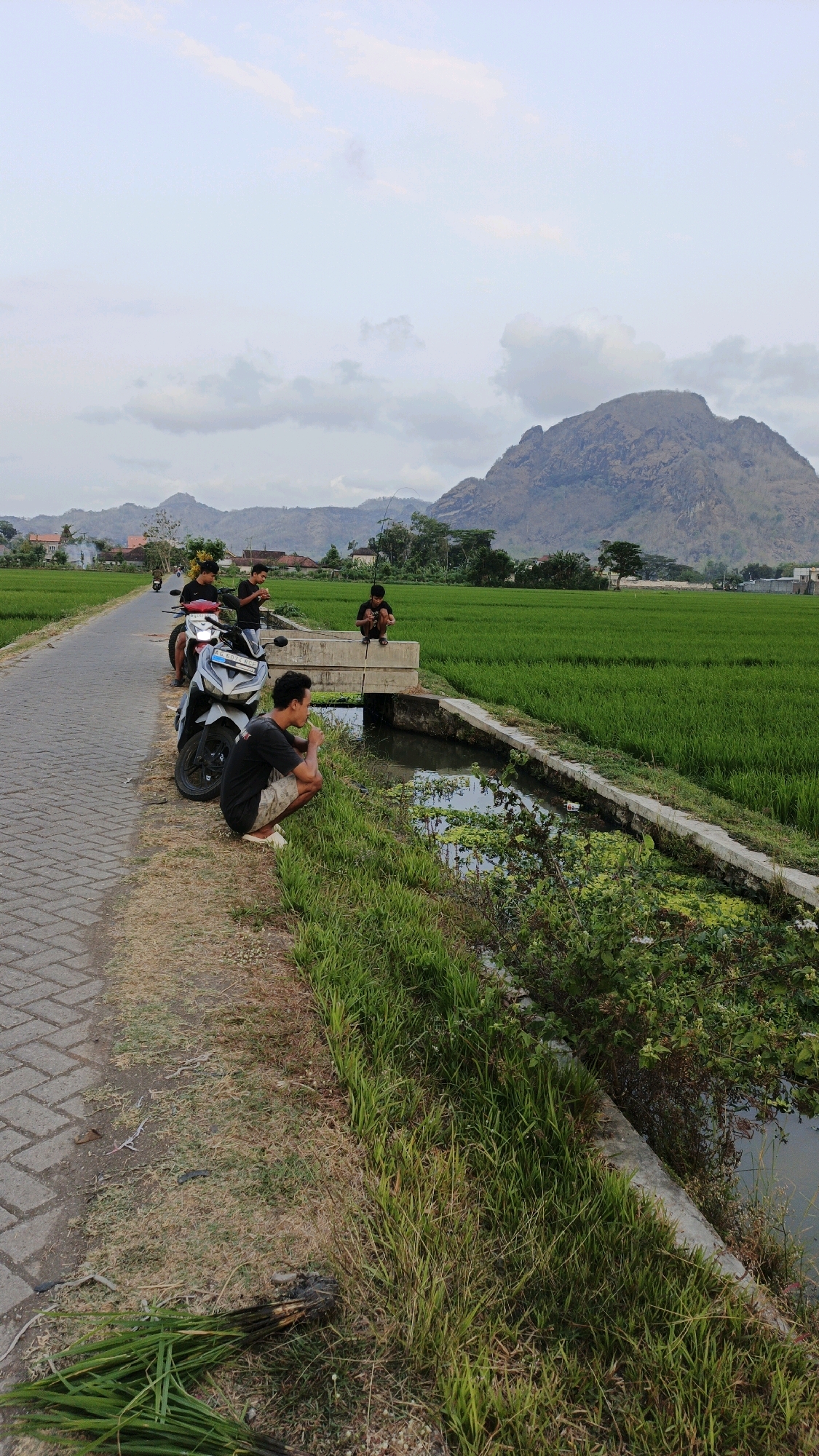 In the Ngranti village of Indonesia, a group of young men are gathered near a rice field. Two motorcycles are parked on a paved road that borders the field. One of the men is squatting by a small irrigation channel, appearing to be fishing with a thin line. Another young man is sitting on the edge of a concrete bridge over the channel, also seemingly engaged in fishing. Two other individuals are standing by one of the motorcycles, looking towards the fishing scene. The background features lush green rice paddies stretching towards a mountainous landscape under a cloudy sky.