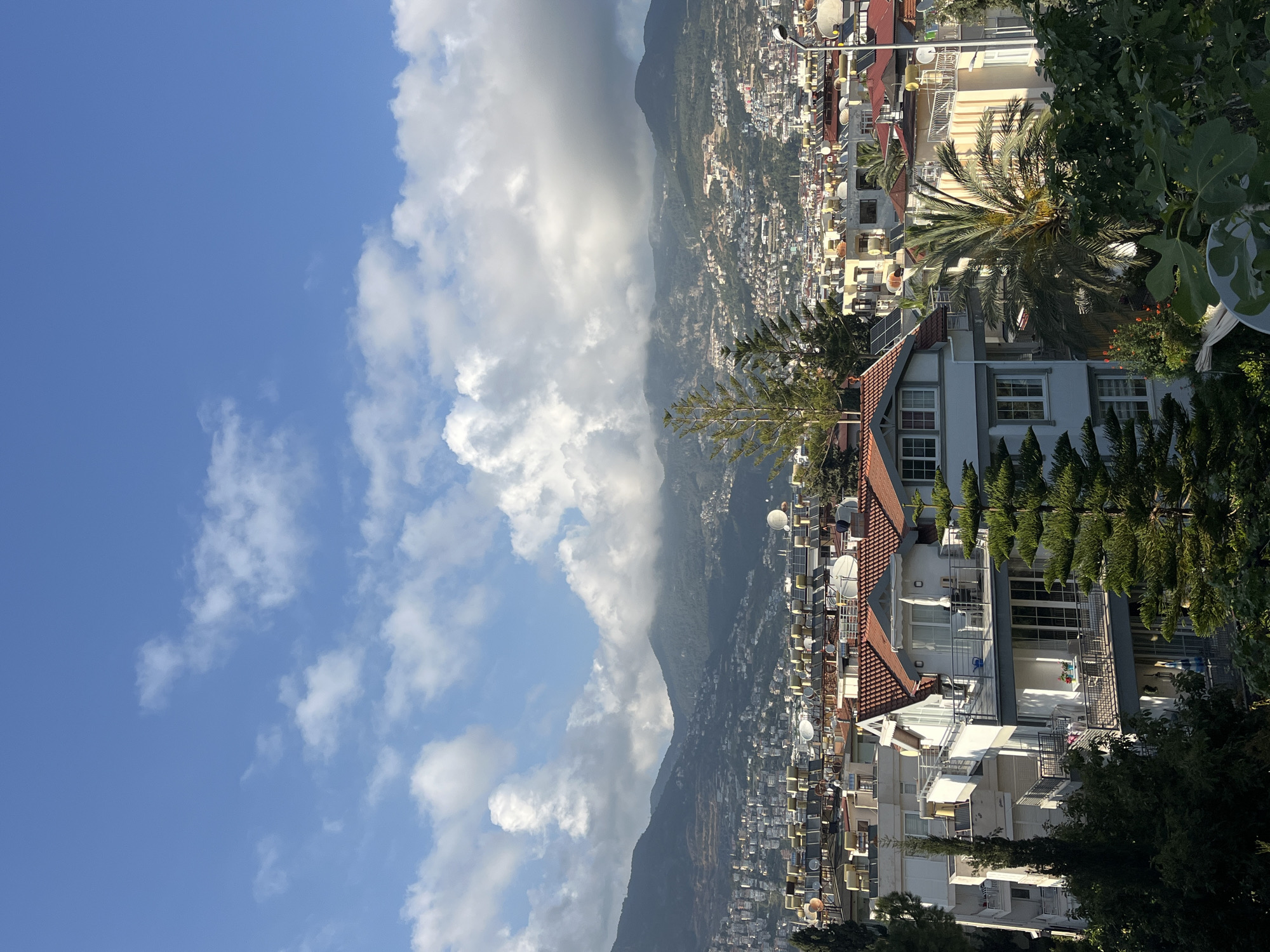 The image, originally rotated 90 degrees clockwise, presents a panoramic view of a densely built coastal town, consistent with the provided location context of Alanya, Turkey. The scene is captured from an elevated perspective, looking over a sprawl of buildings towards a prominent mountain range.
In the foreground and mid-ground, numerous white and light-colored buildings with distinct reddish-brown tiled roofs are visible. Many structures feature balconies, and their rooftops are extensively equipped with satellite dishes and solar water heaters, indicating a sunny climate. Green foliage, including tall palm trees, cypress-like evergreens, and other leafy trees, is interspersed among the buildings, adding a lush element to the urban landscape.
The town extends upwards, covering the lower slopes of a large mountain range that dominates the background. The peaks of these mountains are partially enveloped by substantial, fluffy white cumulus clouds, which contrast against the bright, clear blue sky visible in the upper sections of the image.
The image depicts a bright, clear daytime, likely morning or afternoon, given the strong illumination. The weather appears sunny with significant cloud cover around the mountains. There is no discernible activity taking place, and no people are visible. No text is visible within the image. The overall impression is one of a picturesque Mediterranean urban-natural landscape.