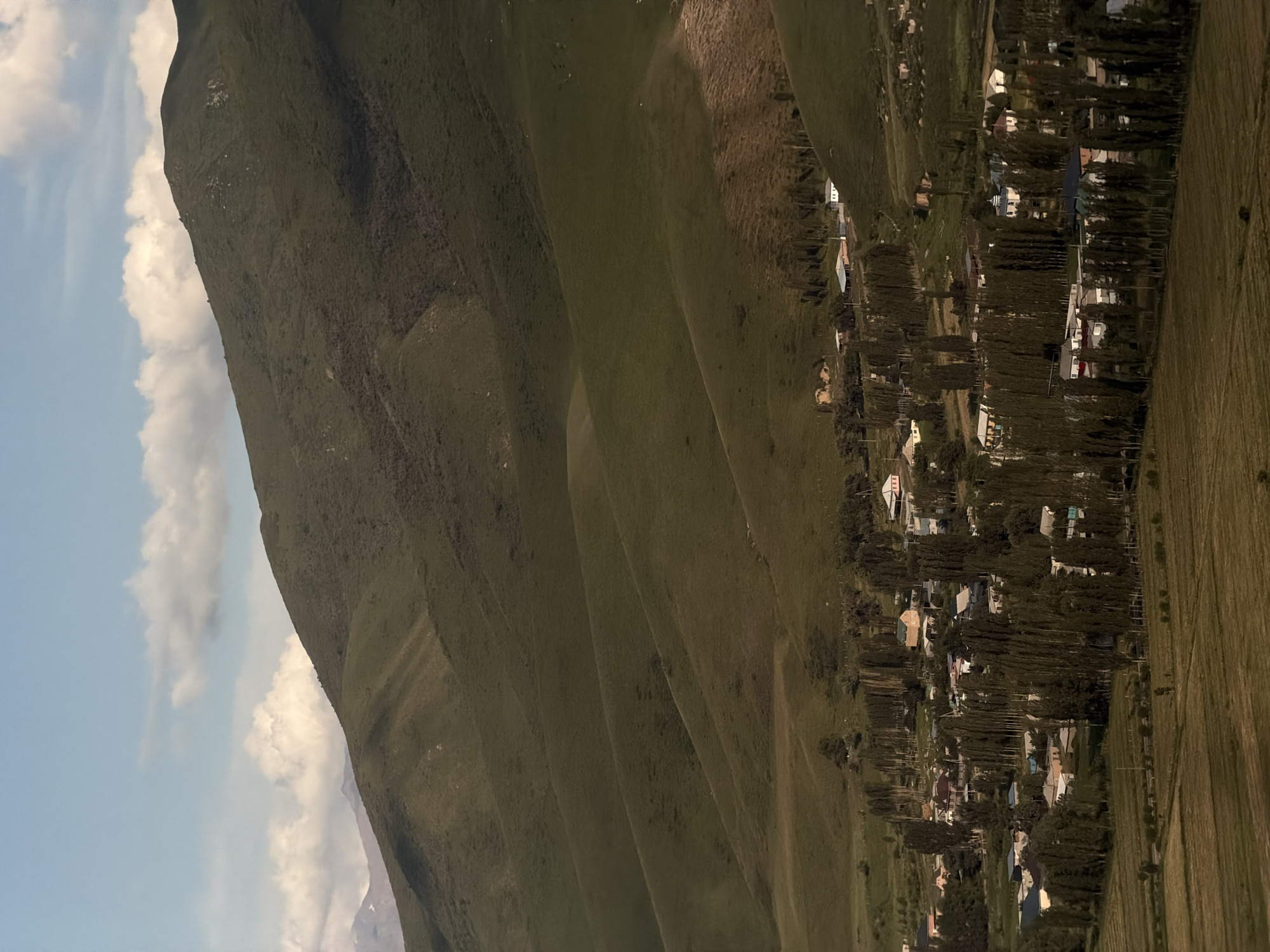 The image depicts a serene mountain landscape with a small village nestled in the valley. The foreground is dominated by a steep, grassy mountain slope that stretches diagonally across the frame. The texture of the grass varies, with some areas appearing lush and green, while others are drier and more brown. Several distinct ridges and curves are visible on the mountainside, creating a sense of depth and scale.
In the background, a cluster of houses forming a village is scattered among a dense line of tall, slender trees. The houses are of various colors and architectural styles, with some featuring white walls and contrasting roofs. The trees are densely packed, creating a natural screen that partially obscures the village. The overall impression is one of a rural, perhaps isolated, settlement.
To the left of the mountain, a patch of blue sky is visible, dotted with soft, white clouds. The lighting suggests it is daytime, likely late afternoon or early evening, given the soft shadows and warm tones in the grass and village. The weather appears clear with some scattered clouds. The location cues, such as the mountainous terrain, the style of the village, and the vegetation, are consistent with a rural setting in a mountainous region like Karagai Bulak, Kyrgyzstan. No people are explicitly visible, and the scene conveys a sense of tranquility and natural beauty. No text is visible in the image.
