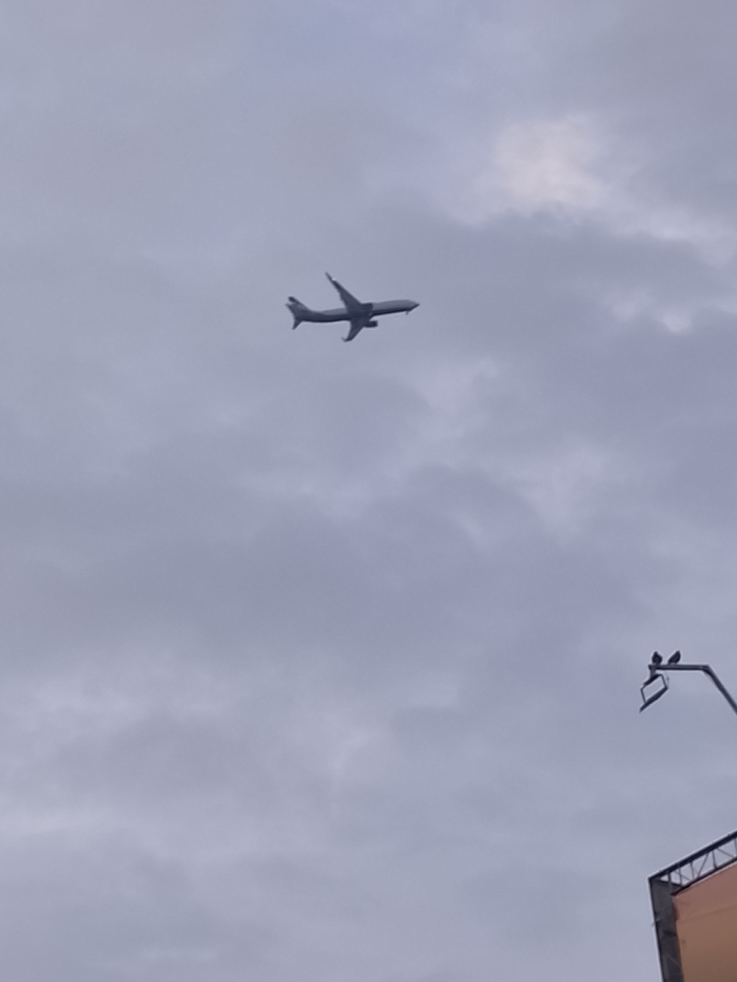An airplane flies diagonally across a grey, cloudy sky. Below, a light pole with two birds perched atop is visible to the right of the frame. Further down, a building structure is partially visible. The location is Tashkent, Uzbekistan.