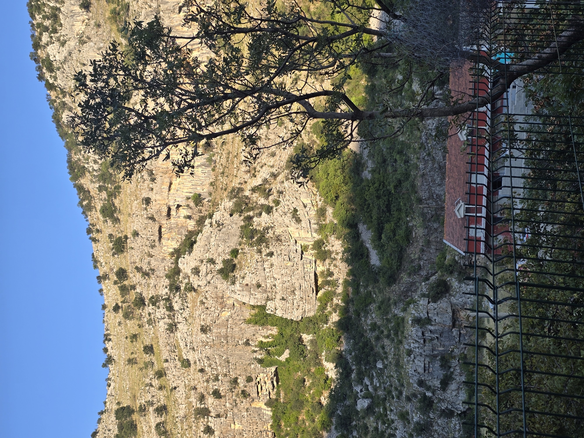 The image depicts a rural scene with a prominent rocky mountainside in the background. The mountainside is rugged, with visible layers of rock and scattered vegetation. In the mid-ground, a red-roofed building with white-trimmed windows is partially visible, suggesting a residential or small commercial structure. A dark metal fence runs across the foreground, obscuring some of the view of the building and surrounding foliage. Trees are present in the foreground, with one particularly prominent tree with dark bark and green leaves in the right half of the frame. The sky above is clear and blue, indicating fair weather. The overall impression is one of a natural landscape with a touch of human habitation. The location in Podgorica, Montenegro is not explicitly identifiable from the image itself, but the scene is consistent with the mountainous terrain found in the outskirts of such a city.