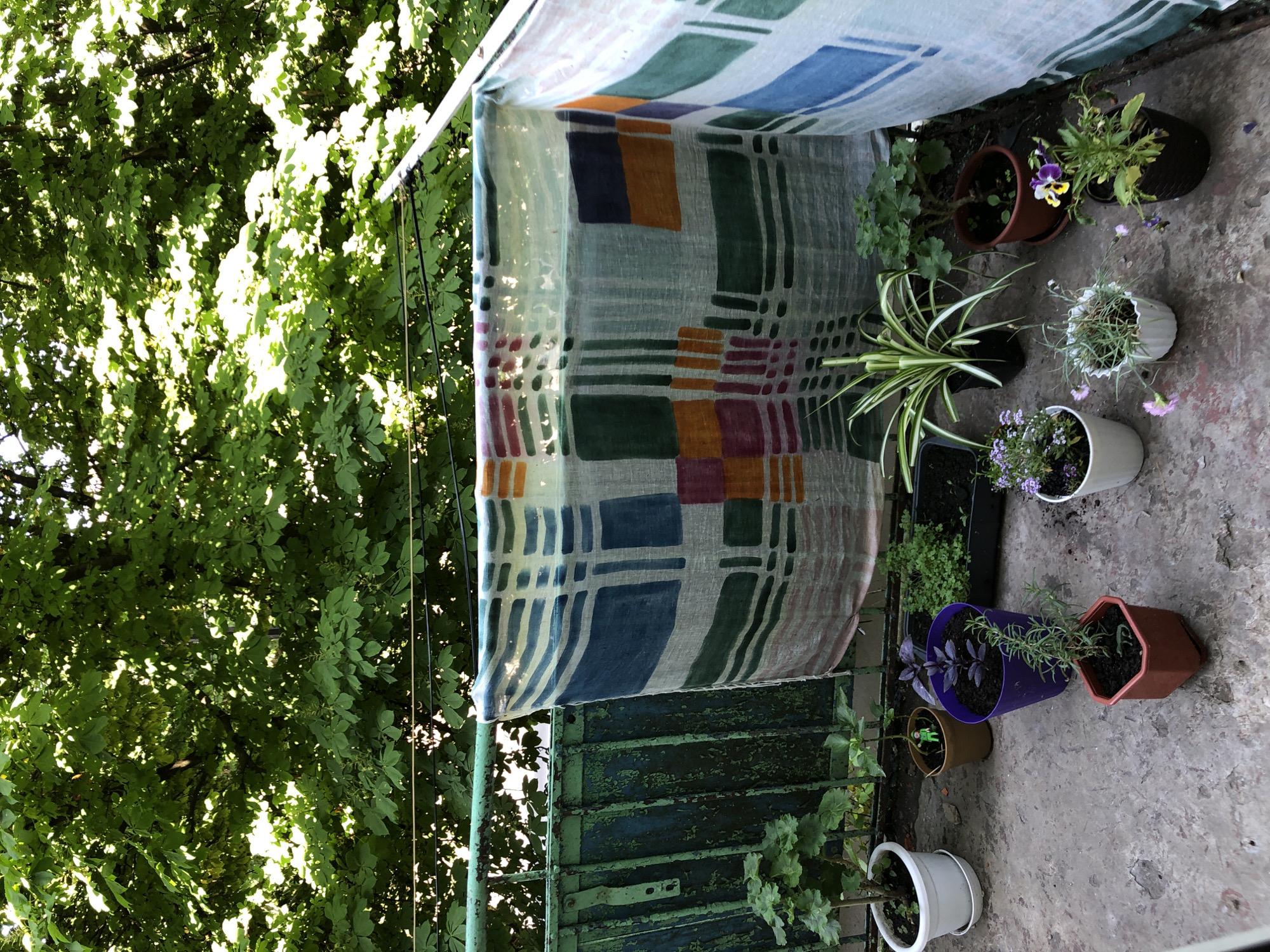 The image displays an outdoor scene, likely a balcony or patio, characterized by a vibrant mix of artificial and natural elements under bright daylight. A patterned fabric, possibly a blanket or tapestry, hangs centrally, draped over a metal pole. This fabric is translucent and features a geometric design of squares and rectangles in various colors including blue, green, orange, purple, and off-white.
Below the hanging fabric, on a concrete surface, is an assortment of potted plants. These include a variegated spider plant, flowering plants with purple and yellow pansies, smaller purple blooms, and herbs such as rosemary in a hexagonal pot and dark-leafed basil in a purple cylindrical pot. The pots vary in size, material (plastic, terracotta), and color. A small green toy soldier figurine is visible in one of the pots on the left.
The background is dominated by dense, lush green foliage from trees or bushes, through which bright sunlight filters, creating dappled patterns of light and shadow. To the lower left, beneath the fabric, a weathered green metal gate or shutter with peeling paint is visible, adding a rustic touch to the scene. The presence of direct sunlight filtering through leaves indicates it is daytime. The overall impression is one of a serene, natural, and lived-in outdoor space. There is no visible text in the image.