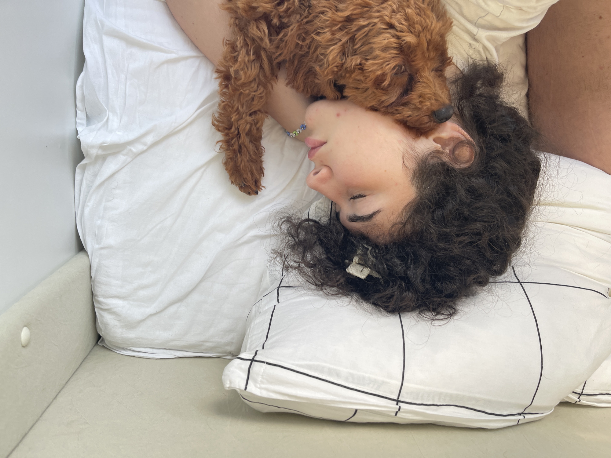 The image provides an overhead view of a person and a small dog sleeping in a bed. The person, lying on their right side with eyes closed, has dark, curly hair, part of which is secured by a small, light-colored hair clip near the top of their head. A beaded bracelet, featuring blue, green, and white beads, is visible on their left wrist, and small reddish blemishes are present on their left cheek/chin area.
A small dog, with dense, reddish-brown curly fur, rests snuggled against the person's left shoulder and chest, also appearing to be asleep. The dog's black nose is visible. The bed is adorned with white bedding, including a plain white duvet or comforter and a white pillow featuring a black grid pattern on the left side, supporting the person's head. The surrounding environment consists of light beige or off-white upholstered panels or walls, with a single circular button-like fastener visible on an upper panel. The scene is illuminated by soft, ambient lighting. The location of this indoor setting is not discernible from the image.