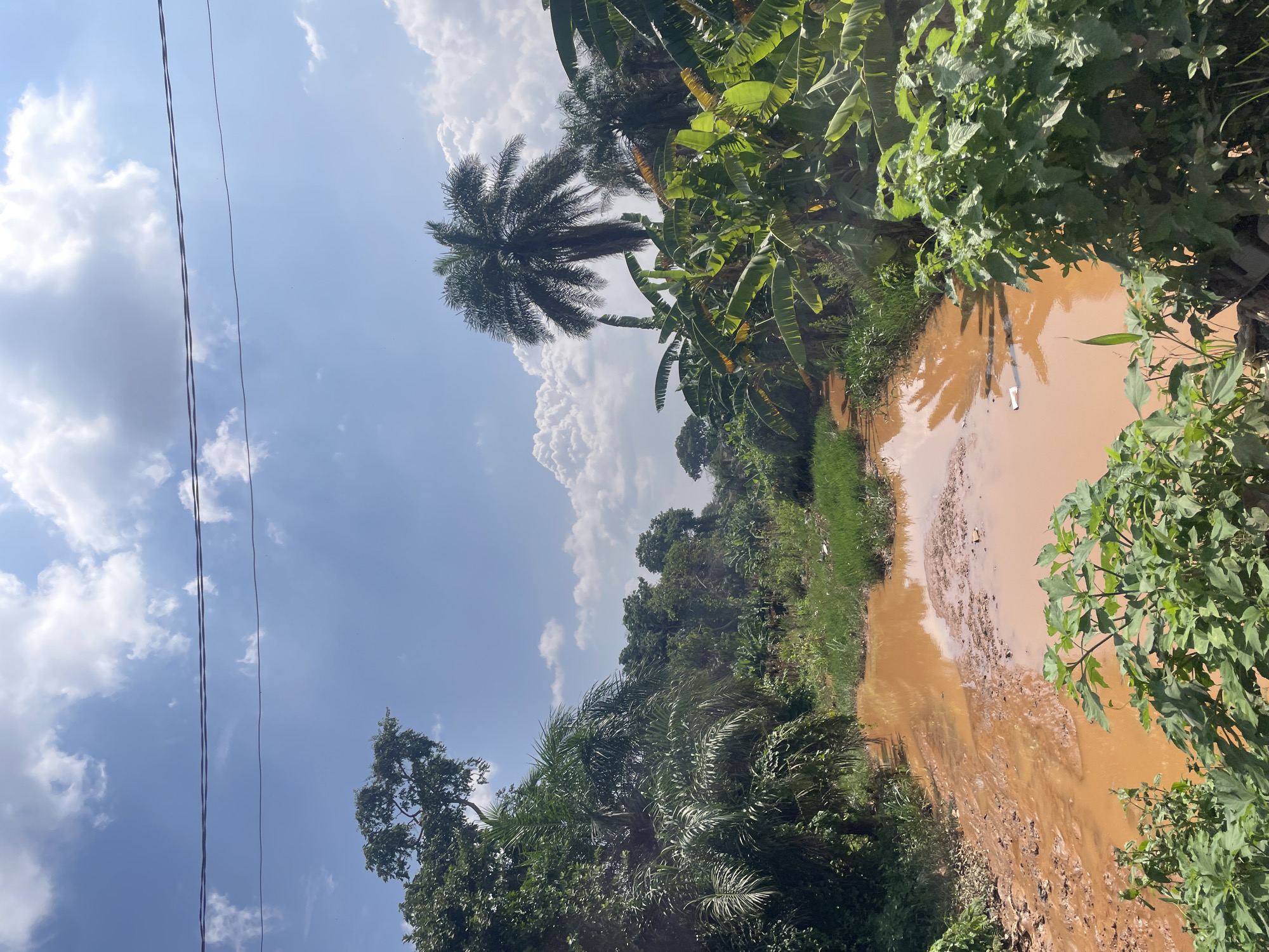 The image depicts a muddy, brown body of water, possibly a puddle or a slow-moving stream, surrounded by lush greenery and tropical vegetation. Several types of trees are visible, including palm trees and banana plants. The sky is blue with scattered white clouds, and power lines are strung across the upper portion of the frame. The scene suggests a rural or semi-rural environment, possibly a less developed area within or on the outskirts of Abuja, Nigeria, where such natural landscapes and conditions are common. There are no people or animals visible in the image.