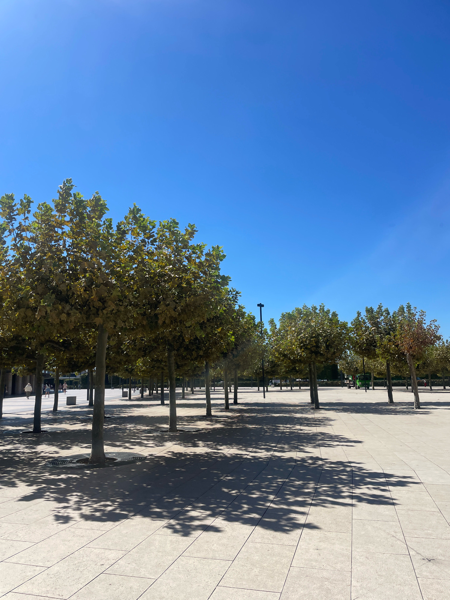 The image shows a row of trees lining a paved plaza under a clear blue sky. The trees are deciduous, with leaves that appear to be in the process of changing color, suggesting it might be autumn. Their branches cast dappled shadows on the light-colored pavement. In the background, several people are visible walking in the distance. There are also some buildings and what appears to be a green utility vehicle. The scene is orderly and spacious, characteristic of a well-maintained public urban space. The location is identified as being in the city of Krasnodar, Russia.