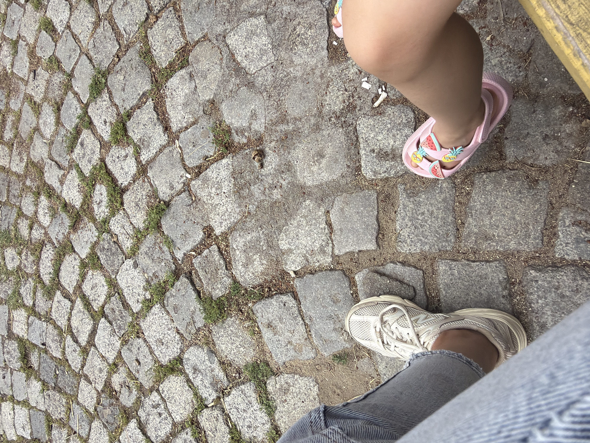 The image displays two feet resting on a cobblestone path with scattered patches of grass and dirt. The left foot is wearing a light-colored athletic shoe and is partially covered by blue jeans. The right foot is adorned with a pink sandal decorated with fruit charms, including strawberries and watermelons. The cobblestones are unevenly shaped and appear weathered. The scene suggests an outdoor urban setting. Based on the provided context, this location is Pazardzhik, Bulgaria.