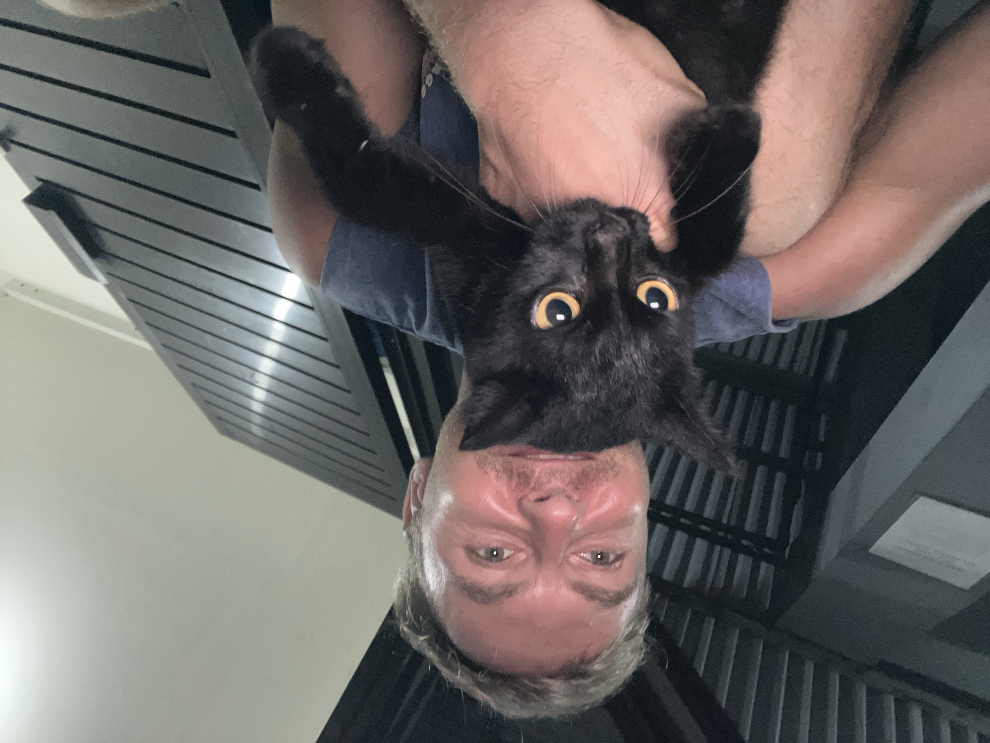 A man is holding a black cat upside down. The man is Caucasian with light brown hair and a mustache. The cat has large, yellow eyes. The background appears to be a dark, wooden pergola or similar structure. Given the prompt's inclusion of Denpasar, Indonesia, the scene likely takes place there.