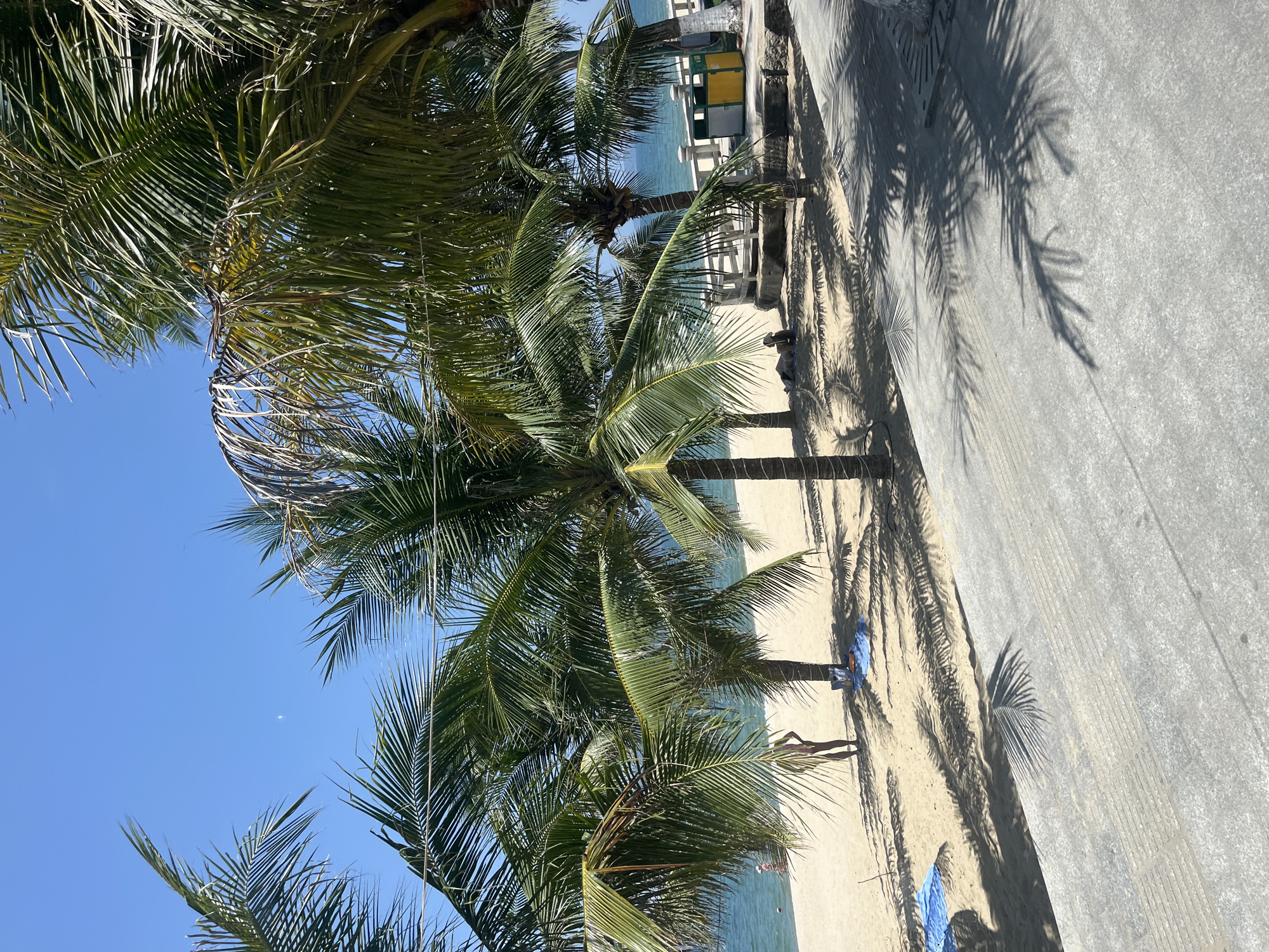 The image depicts a sunny beach scene in Nha Trang, Vietnam, characterized by palm trees casting shadows on a paved walkway and sandy beach. In the background, the ocean meets the shore under a clear blue sky. Several palm trees stand prominently, with their fronds partially obscuring the view of the sea and sky. On the sandy beach, there are a few individuals, some appearing to be sunbathing or standing near the water. Beach towels are visible on the sand. A low wall separates the beach area from a structure with colorful bins, suggesting a public area or amenity. The foreground consists of a textured, paved surface, likely a promenade or pathway. The overall impression is a tropical, leisure-oriented environment typical of a beach destination.