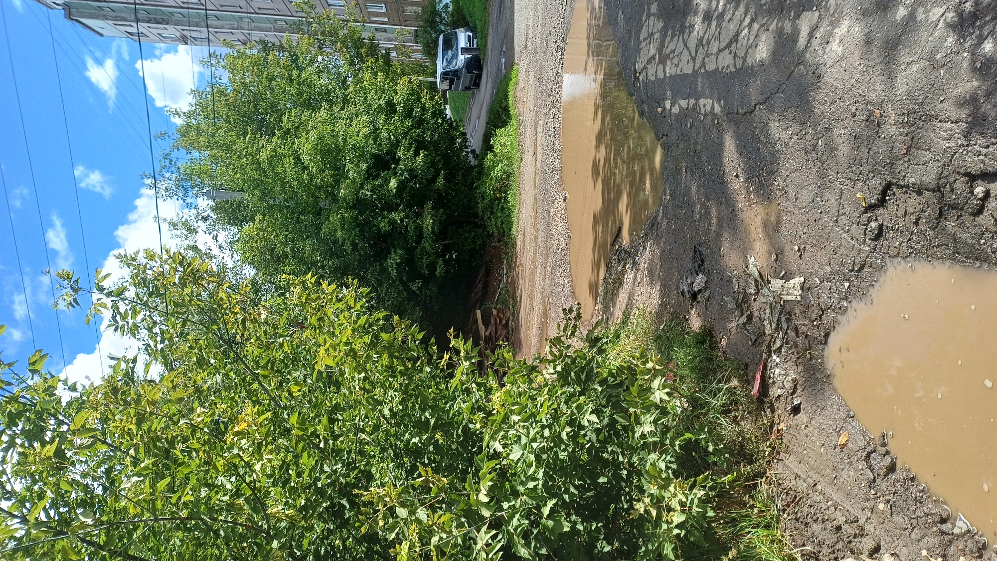 The image shows an outdoor scene in Izhevsk, Russia, with a focus on a damaged asphalt road and surrounding elements. In the foreground, a large, muddy puddle occupies a significant portion of the road, reflecting the sky and trees. The asphalt around the puddle is cracked and uneven, indicating disrepair. To the left of the road, lush green bushes and trees are prominent, with some grass and scattered debris on the ground, including plastic bags and paper. In the background, a grey van is parked on the side of the road, and a multi-story apartment building is visible behind the trees. The sky is blue with scattered white clouds, suggesting it is daytime. The overall impression is one of an urban environment experiencing poor road conditions, possibly in a residential area.