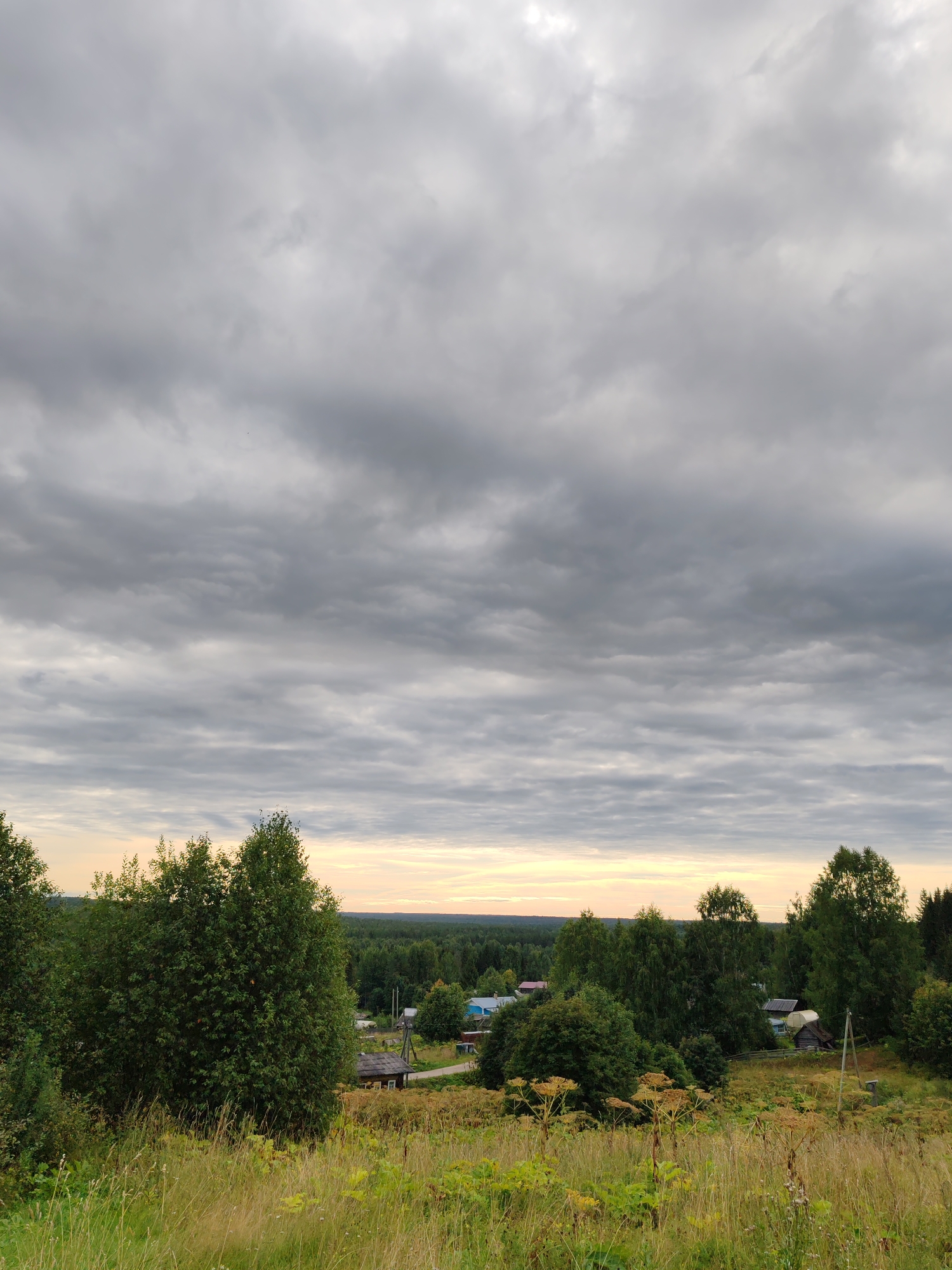 This is a photograph taken outdoors, looking out over a rural landscape with a village in the distance. The sky is overcast with dense gray clouds that occupy the majority of the frame. The foreground features a grassy slope with dry, tall grass and some large, yellowish plants with seed heads.
In the mid-ground, a cluster of trees, predominantly green and leafy, is visible. Beyond the trees, a small village is nestled. Several small houses with dark roofs are discernible, along with some blue-roofed buildings. A dirt road or path winds through the village. The background consists of a dense forest that stretches to the horizon, with a muted, hazy appearance due to the distance and the cloudy conditions. The horizon line is low, emphasizing the vastness of the sky. The overall impression is one of a quiet, overcast day in a rural Russian setting, likely in the city of Chukhlem, Russia, given the characteristic architecture and vegetation. There are no people or animals visible in the image.