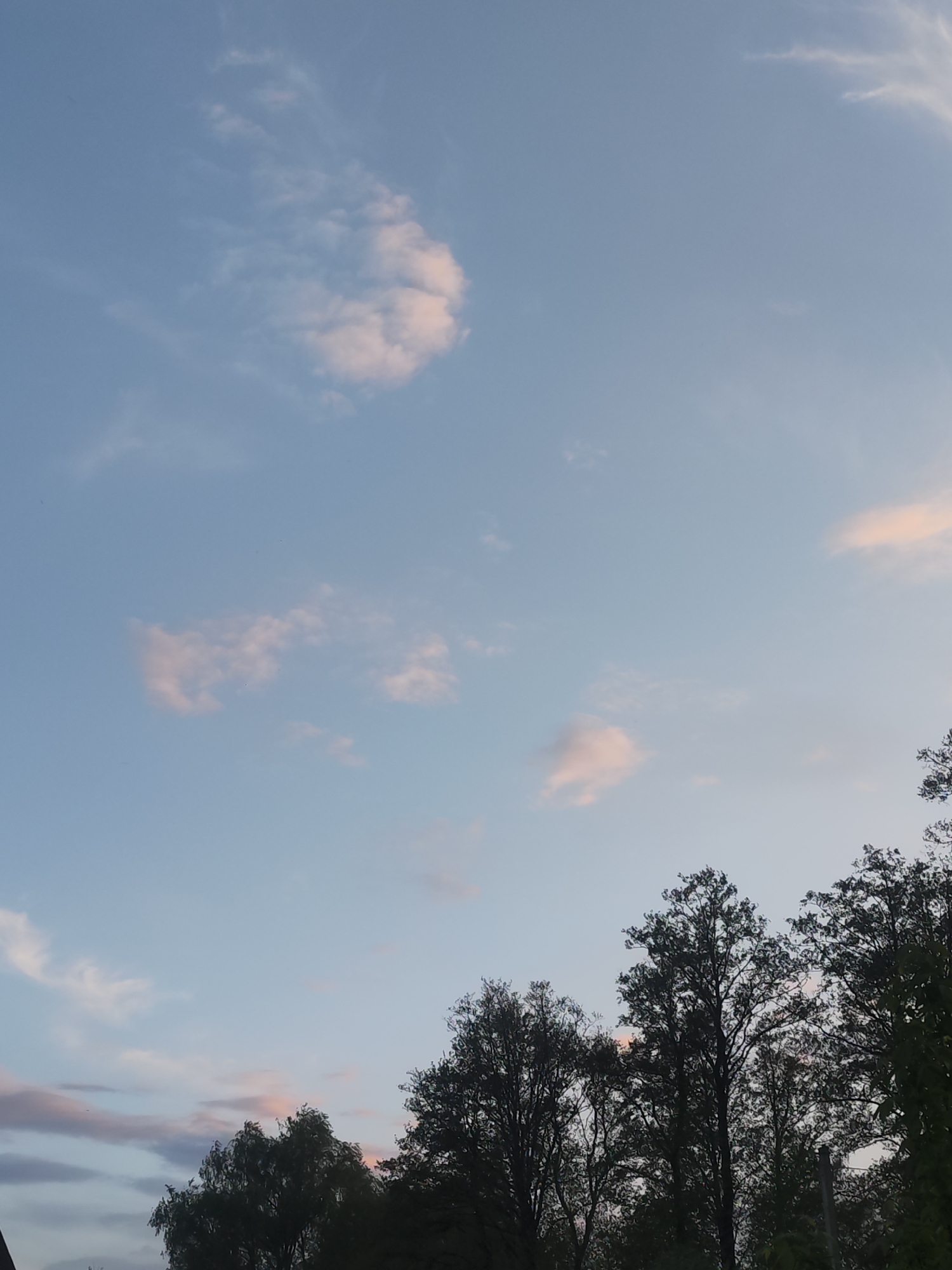 The image depicts a daytime sky with scattered clouds, some of which exhibit a pink hue, likely due to the sun's position. Trees, silhouetted against the sky, occupy the lower portion of the frame. The location, Chaikovsky, Russia, is based on the request but cannot be verified from the visual data alone. No people, specific actions, or interactions are observable in the image. The environment is natural, consisting of sky and foliage.
