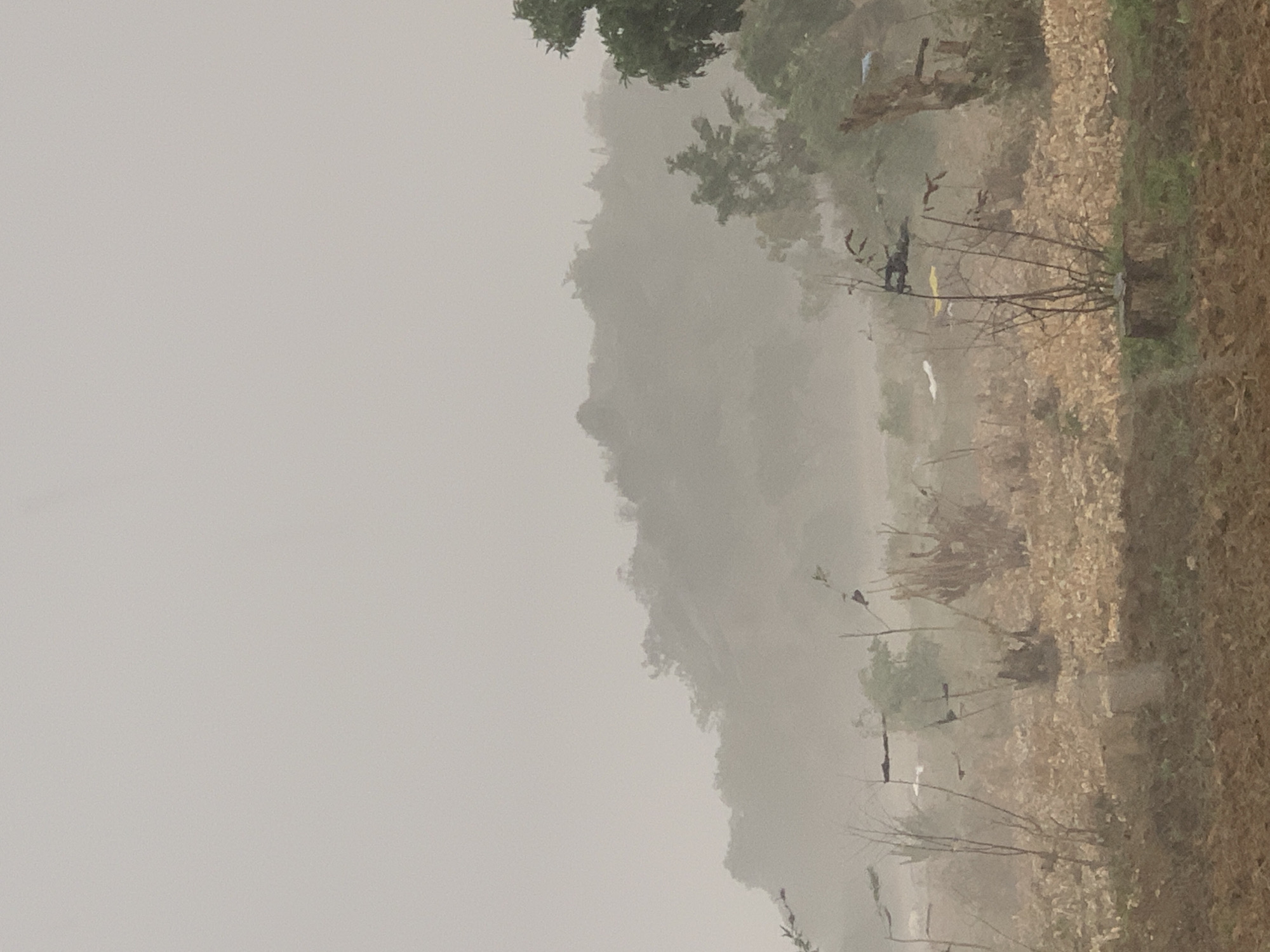 The image depicts an outdoor scene in Gwafan, Nigeria, obscured by heavy fog or rain. The landscape appears to be partially vegetated with trees and shrubs, some of which are bare-branched. The ground is a mix of earth and scattered leaf litter. The atmosphere is dense with moisture, reducing visibility. No people are visible in the image.